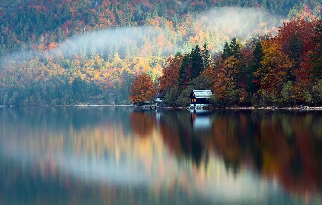 Wallpaper autumn, forest, reflection, lake, house, Slovenia, October image for desktop, section природа