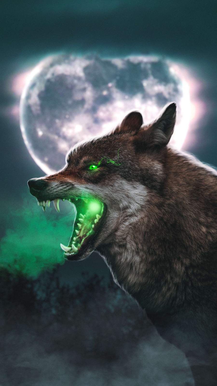 The Wolf IPhone Wallpaper Wallpaper, iPhone Wallpaper