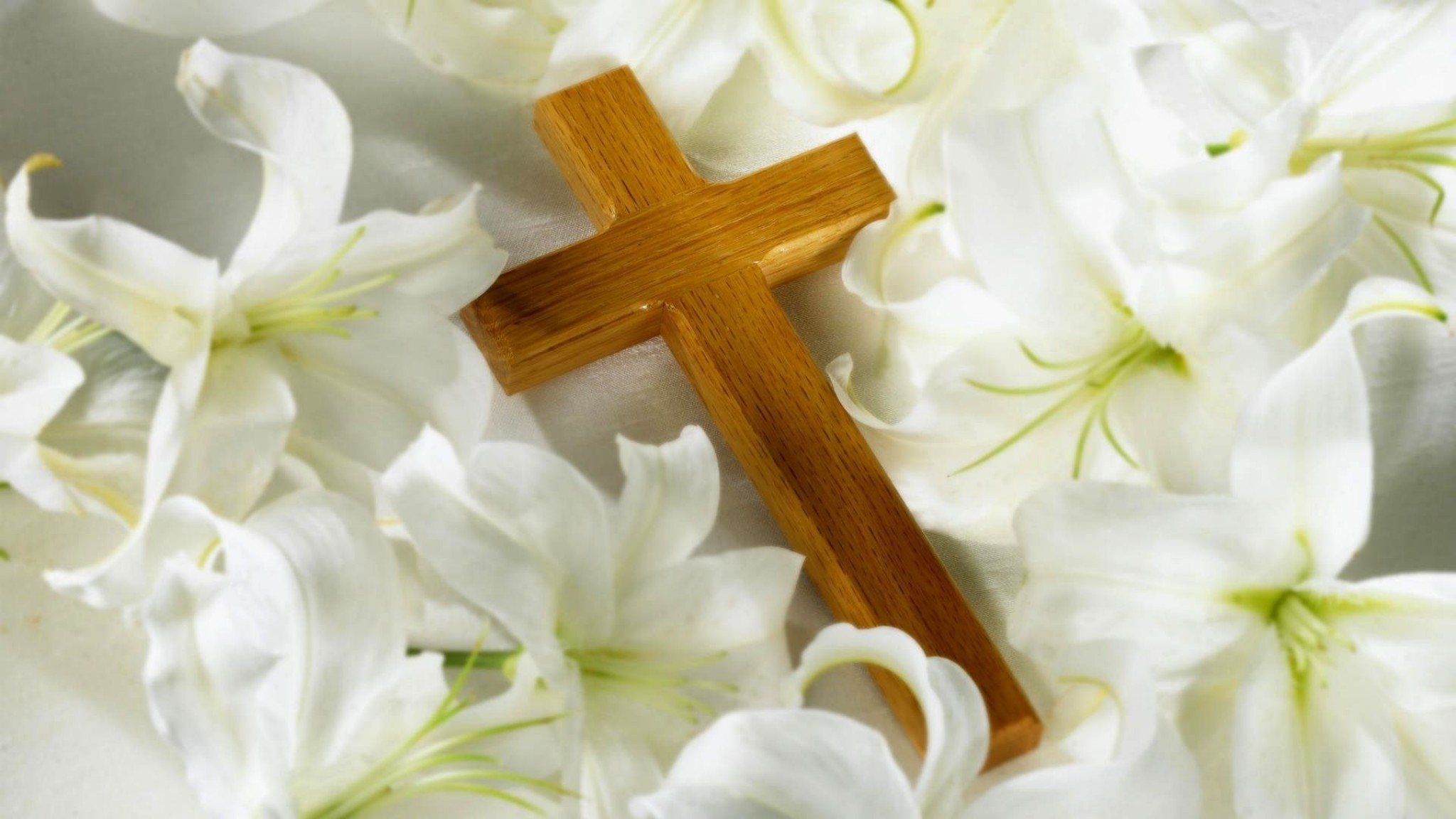 Christian Cross Flower Lily Religious White Flower Wallpaper:2048x1152