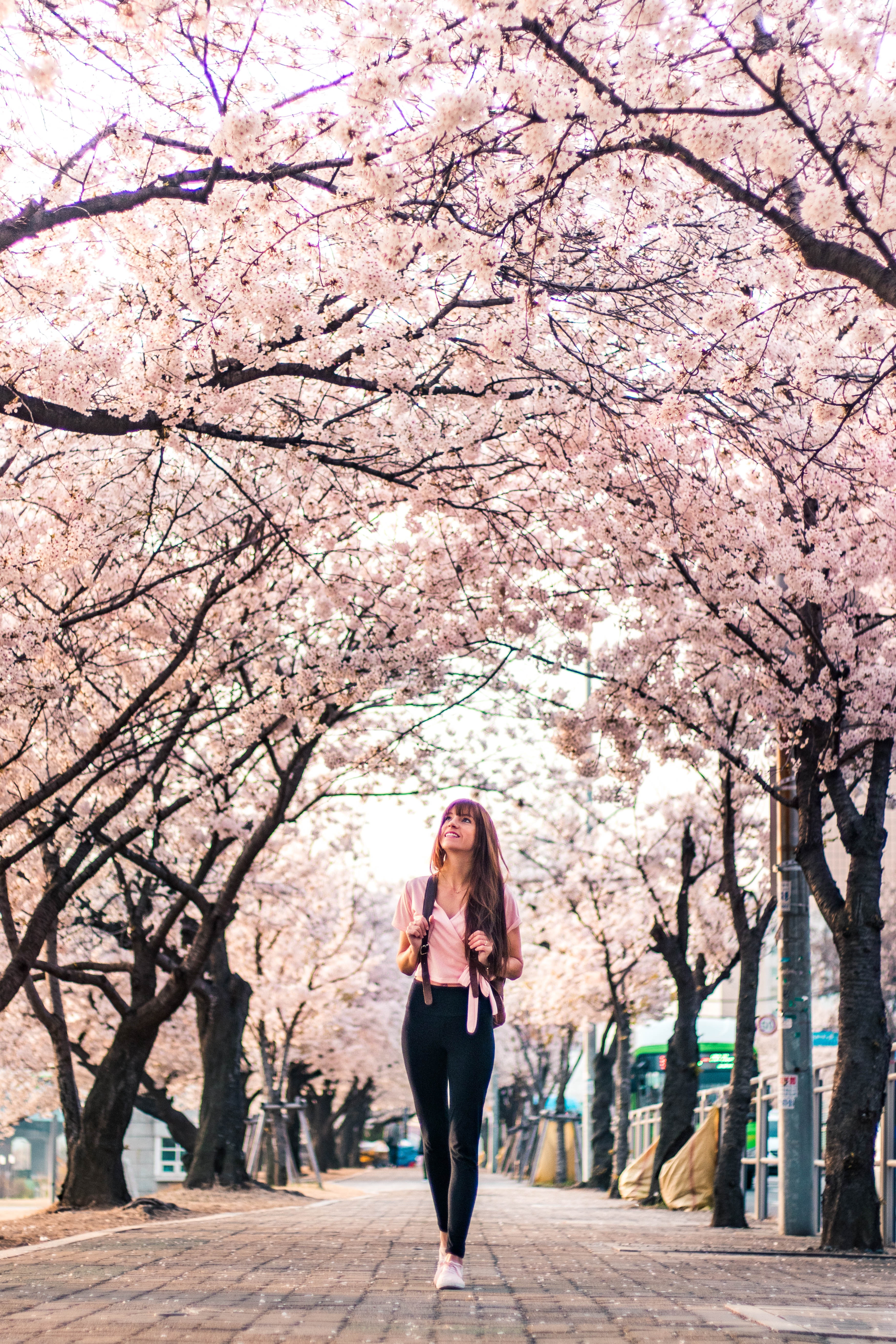 Woman in Black Jacket Standing Under White Cherry Blossom Tree · Free