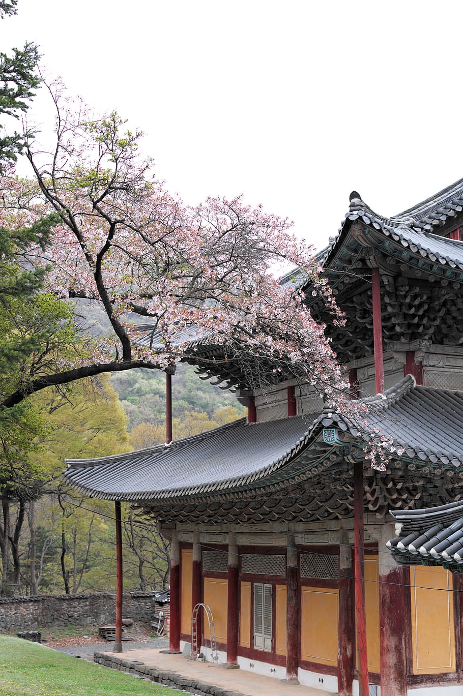 Korea, Temple, Section, Travel, Buddhism, Tourism
