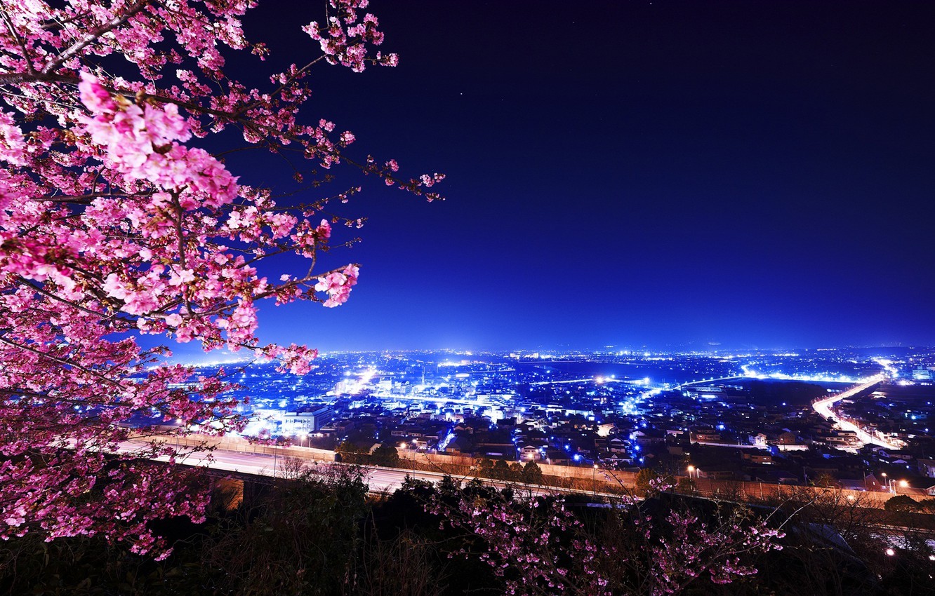 Wallpaper night, lights, building, Cherry Blossoms image for desktop, section город