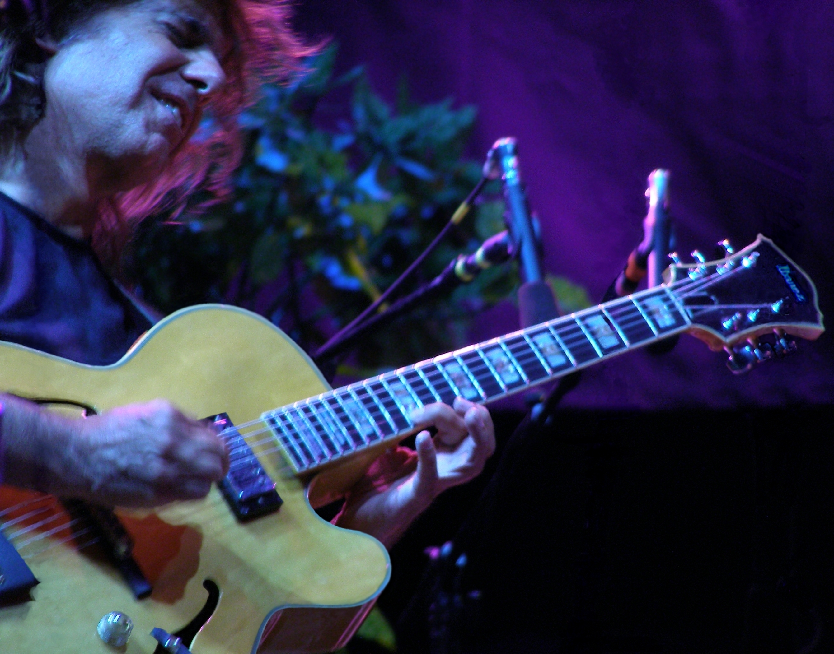 Pat Metheny and his
