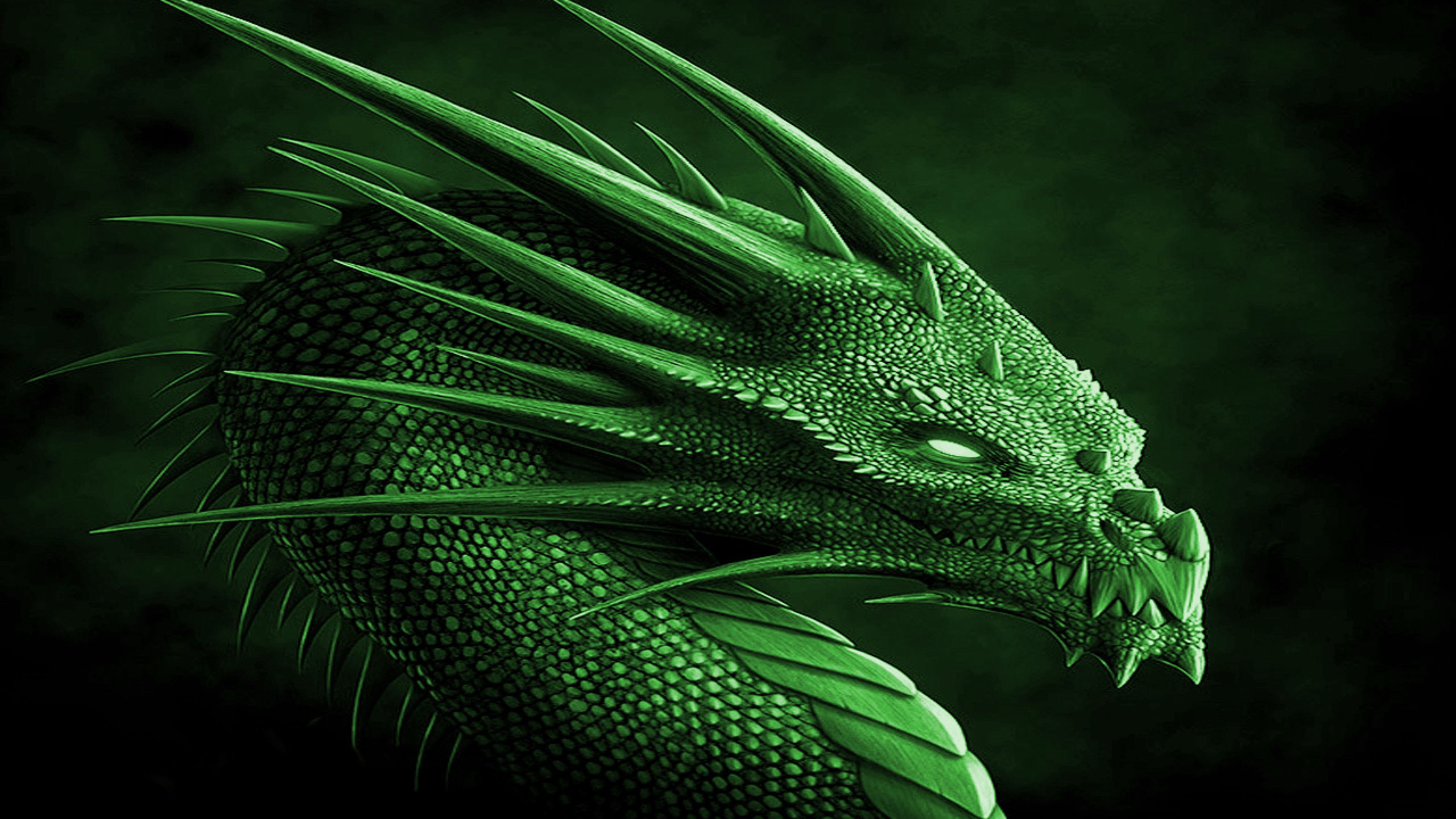 Green Dragon â ¤ 4K HD Desktop Wallpaper for • Tablet • Smartphone. Cool wallpaper dragon, Dragon picture, Android wallpaper black