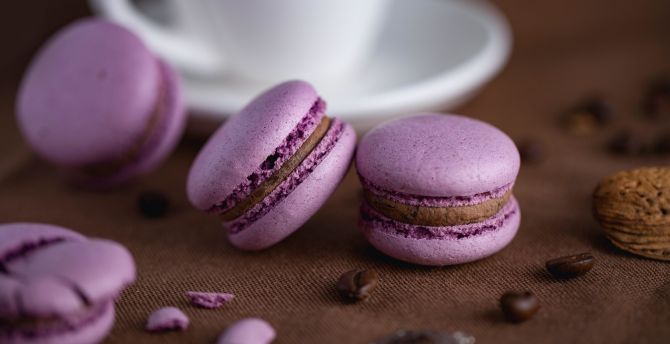 Macaron, beans, food wallpaper, HD image, picture, background, 04c532