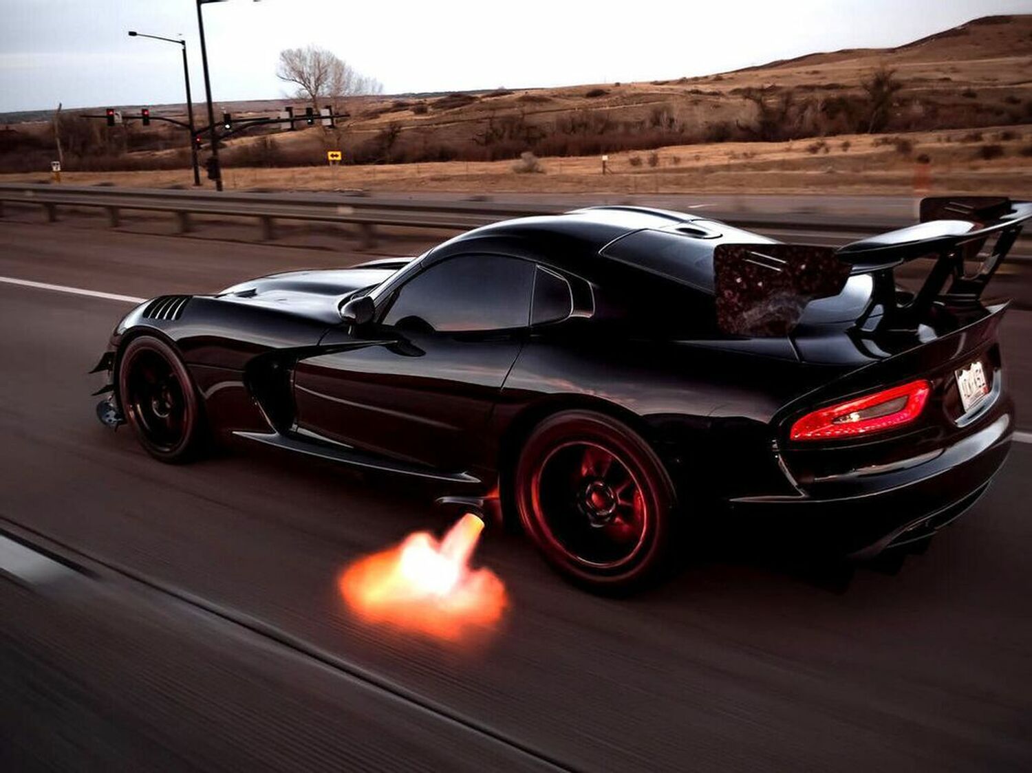 Calvo Viper Wallpapers Wallpaper Cave calvo-viper-wallpapers-wallpaper-cave