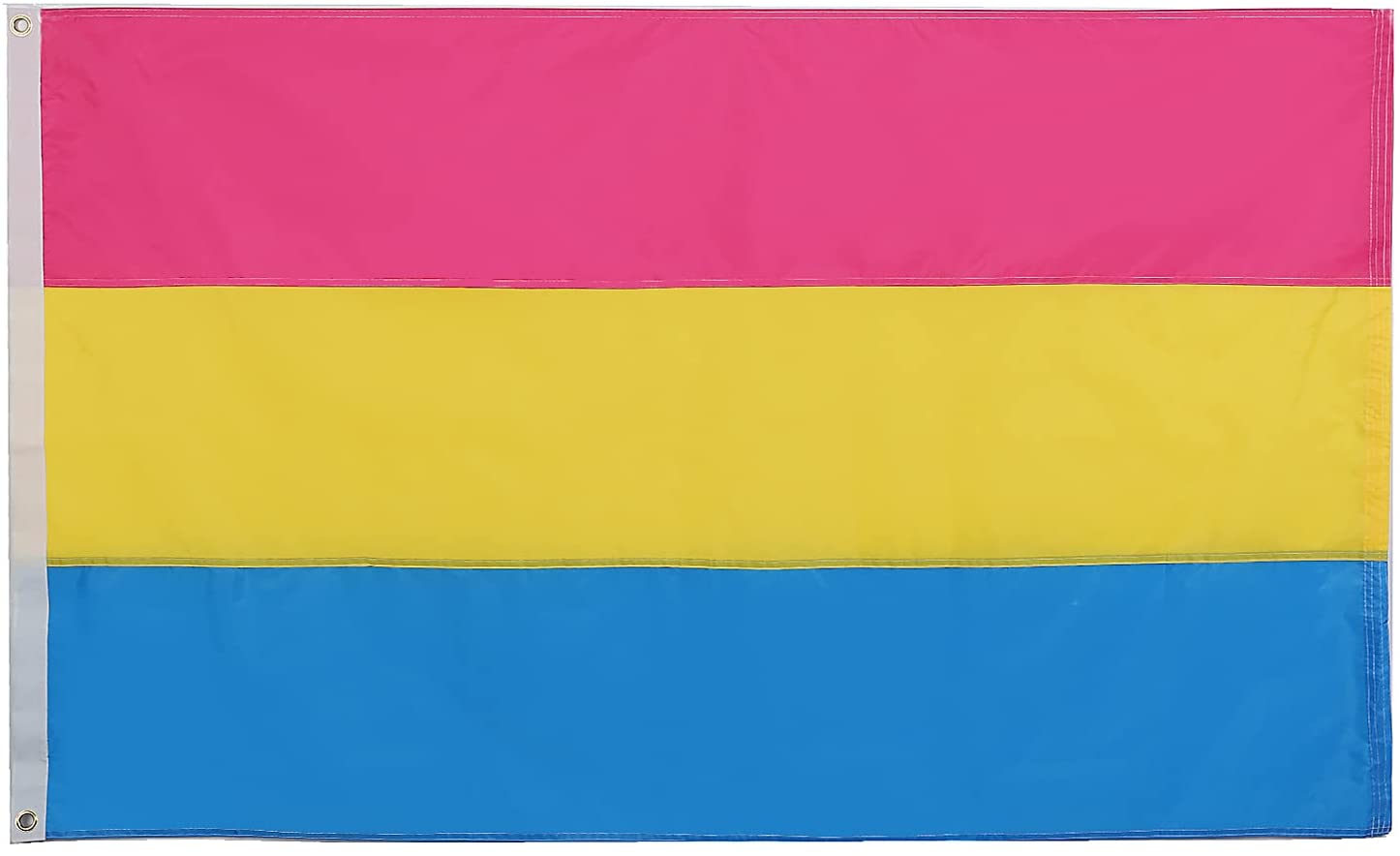 BREEZIUM 210 Nylon Pansexual Pride Flag 3x5 feet- 2 Sided, Sewn Stripes, Double Stitched- Progress Pride Flag- LGBTQ Omnisexual Pride Banner, Non Binary Pansexual Merch- Vibrant Colors, Header Pan Flag