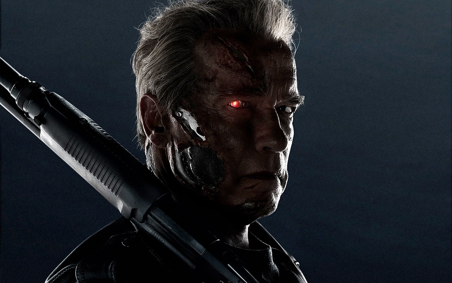 Arnold Schwarzenegger, Terminator: Genisys wallpaper 1920x1200