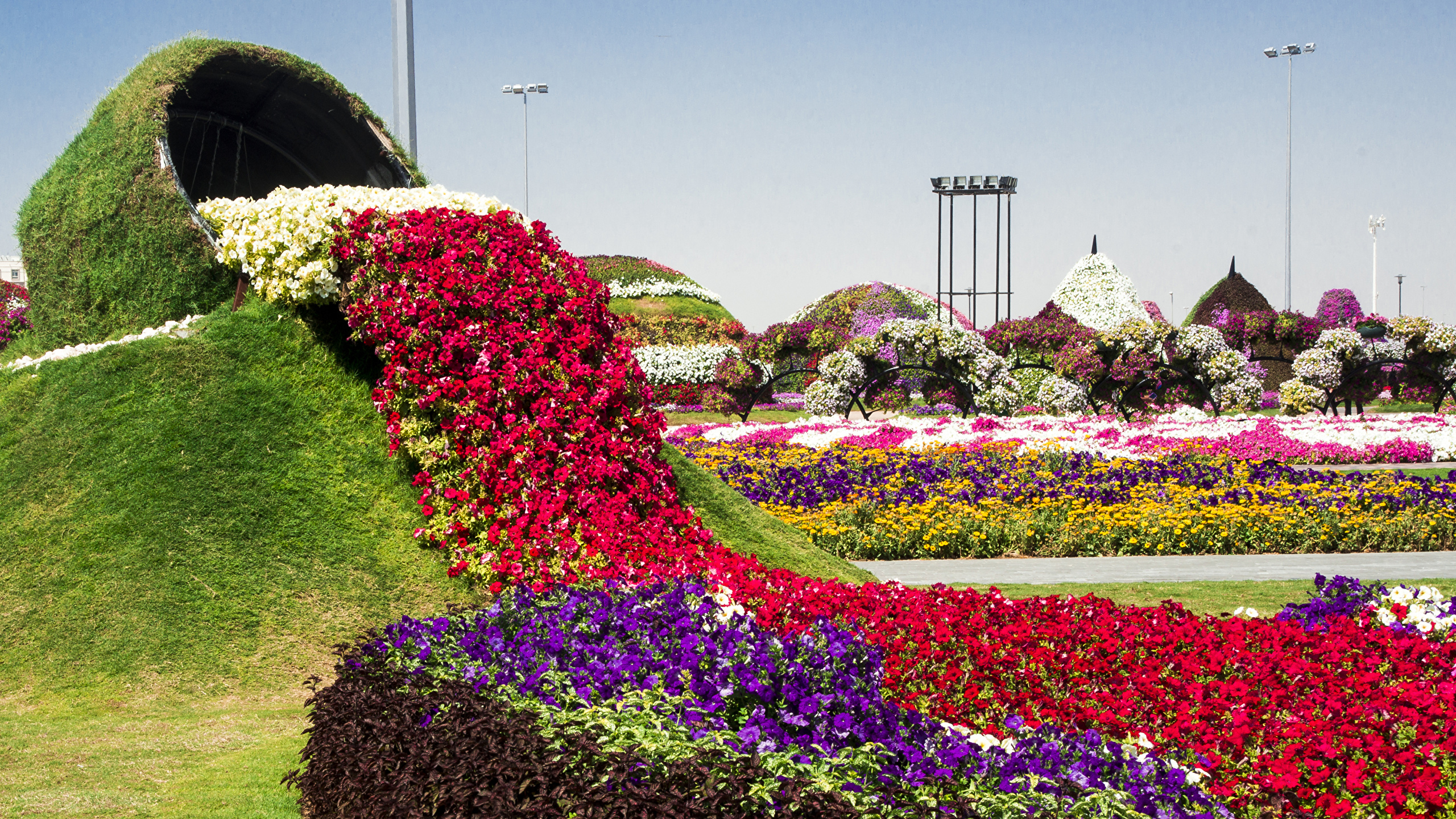 Full HD Dubai Miracle Garden HD