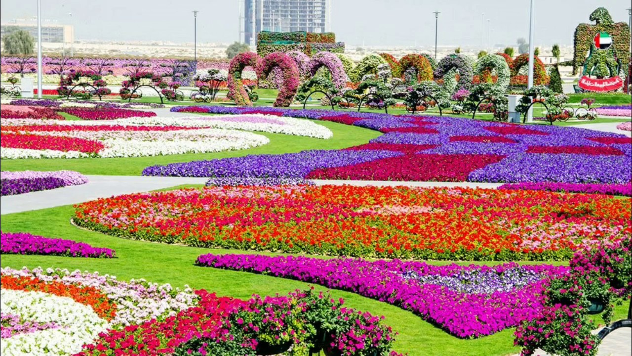 Dubai Miracle Garden: World's largest flower garden | CNN