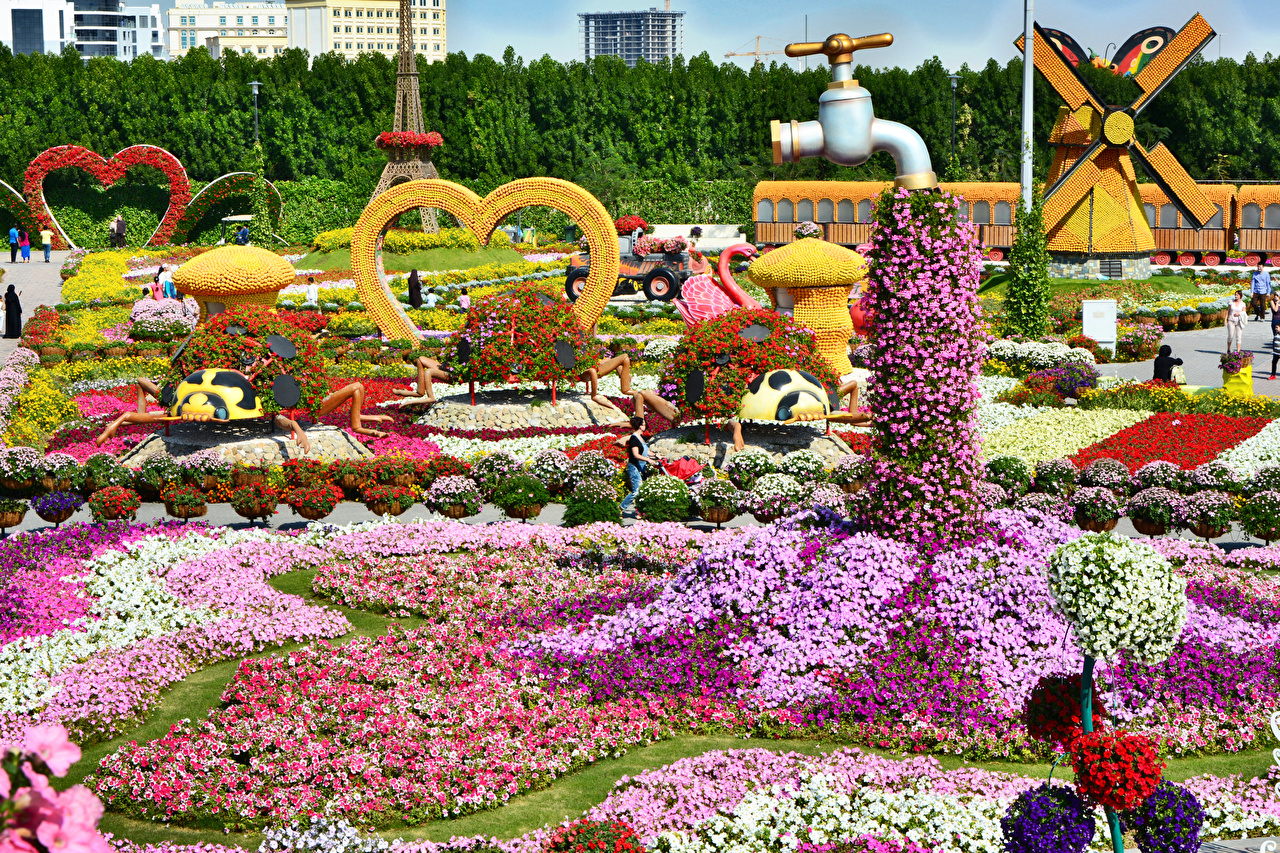 Photos Dubai Miracle Garden Nature Gardens Petunia Design