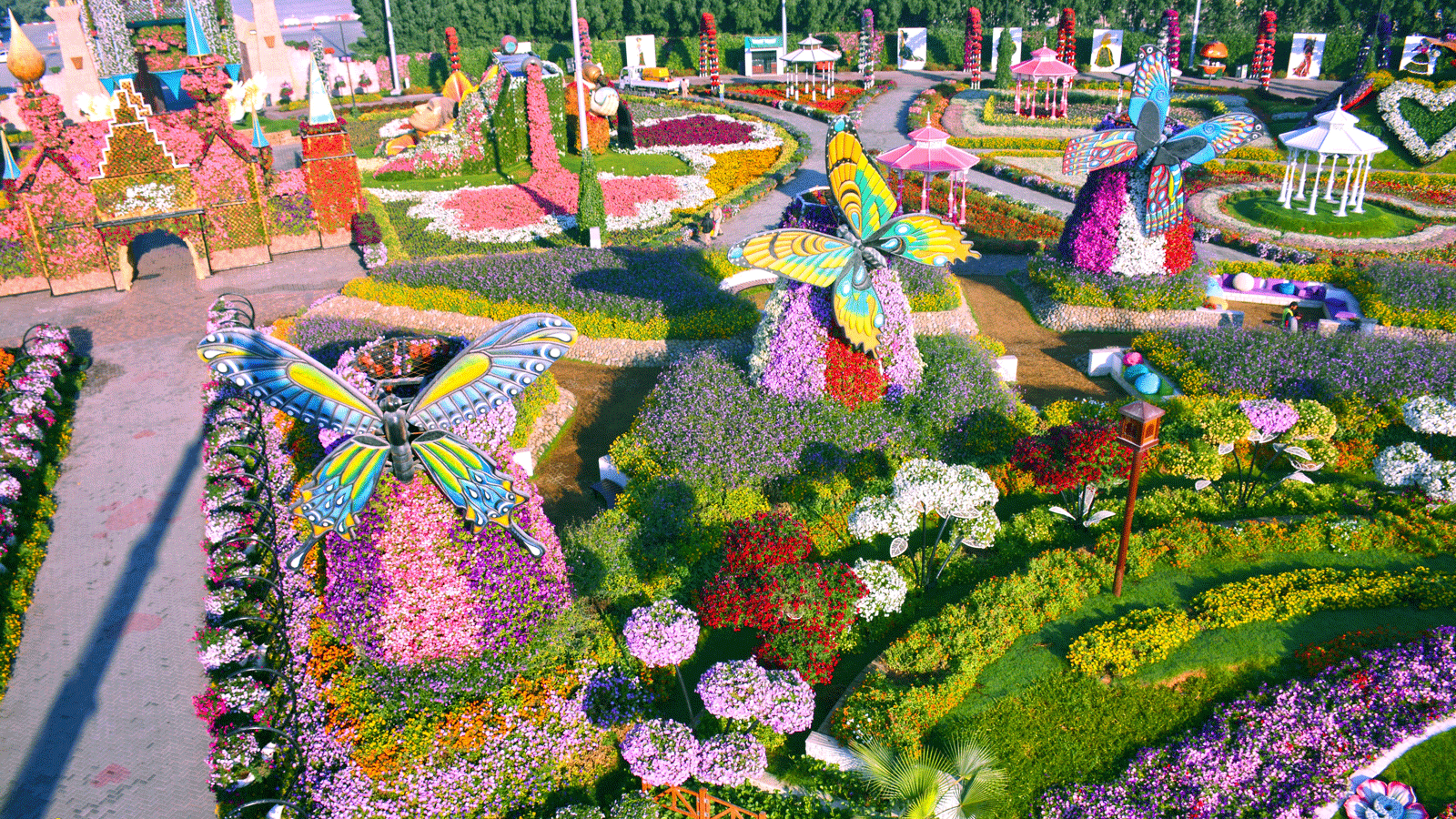 Dubai Miracle Garden: the world's largest natural flower garden