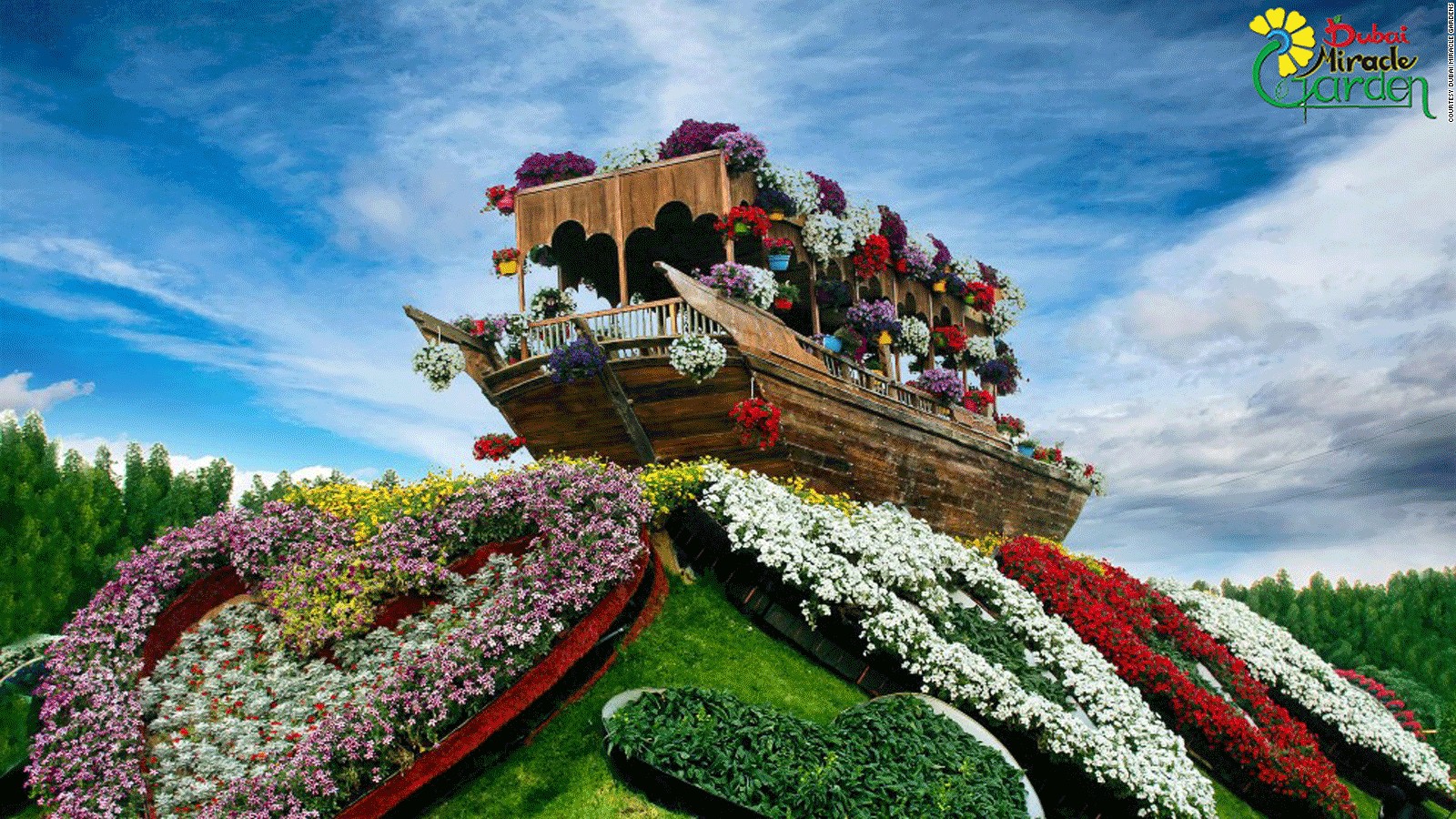 87 Dubai Miracle Garden Stock Photos, High-Res Pictures, and Images - Getty  Images