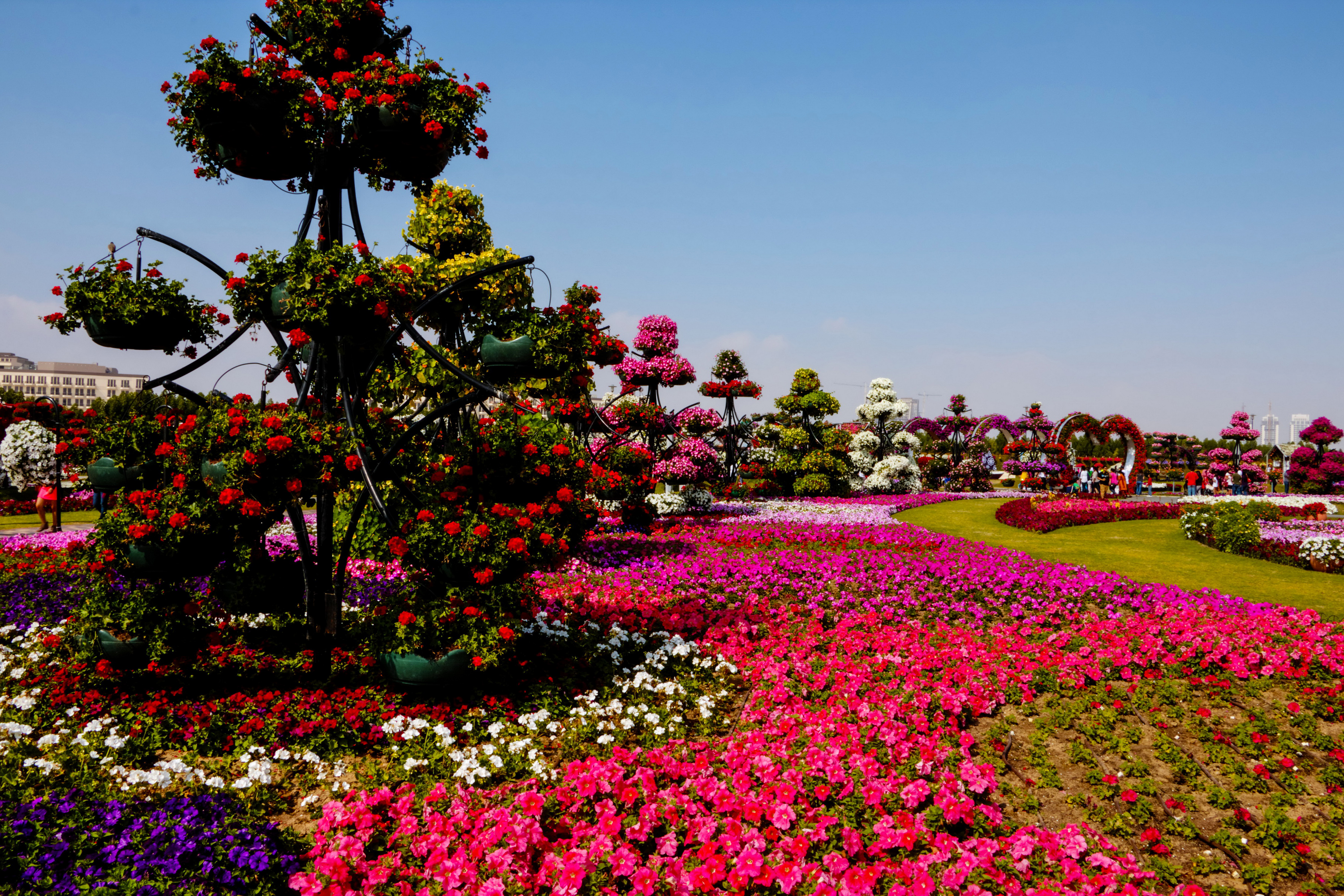 Desktop Wallpaper Dubai Emirates UAE Miracle Garden 3000x2000