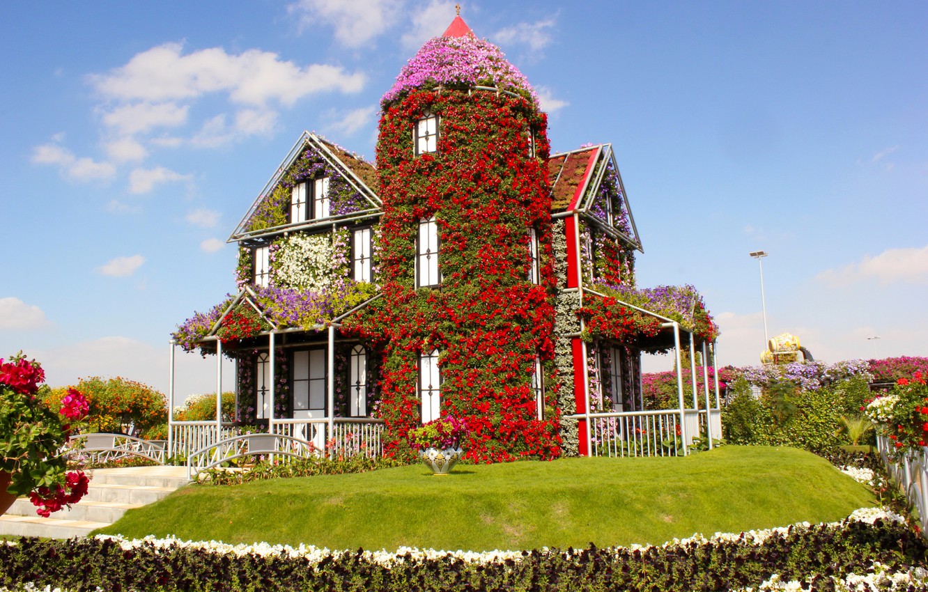 Wallpaper flowers, design, house, lawn, Dubai, UAE, United Arab Emirates, Miracle Garden image for desktop, section природа