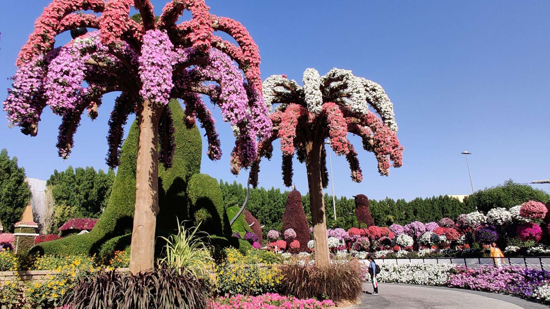 The Miracle Garden. Bulgari Resort Dubai