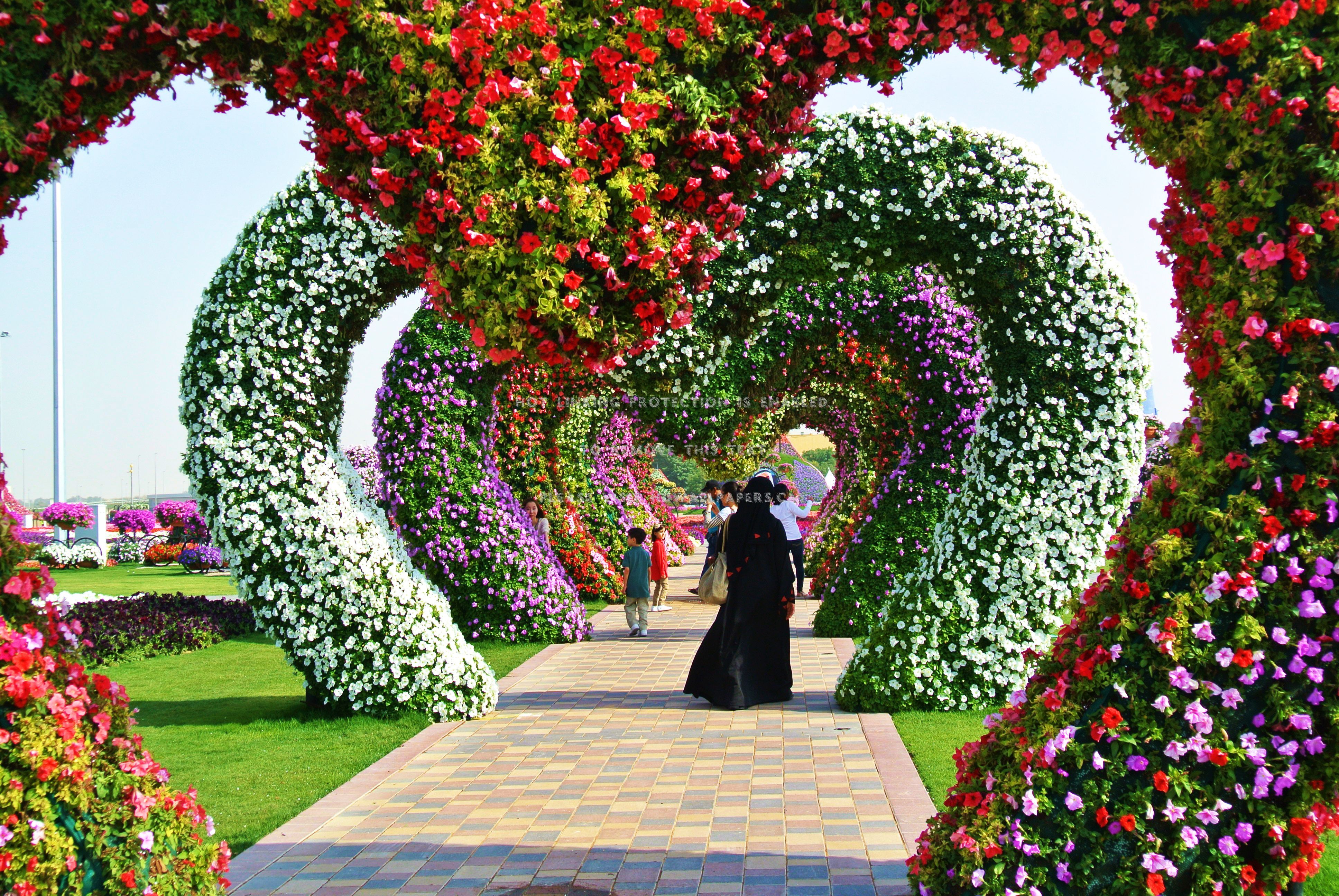 miracle garden dubai hearts people path