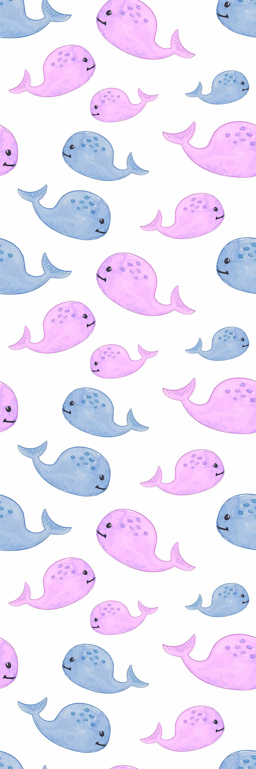 Cute Whale Wallpaper Free Cute Whale Background