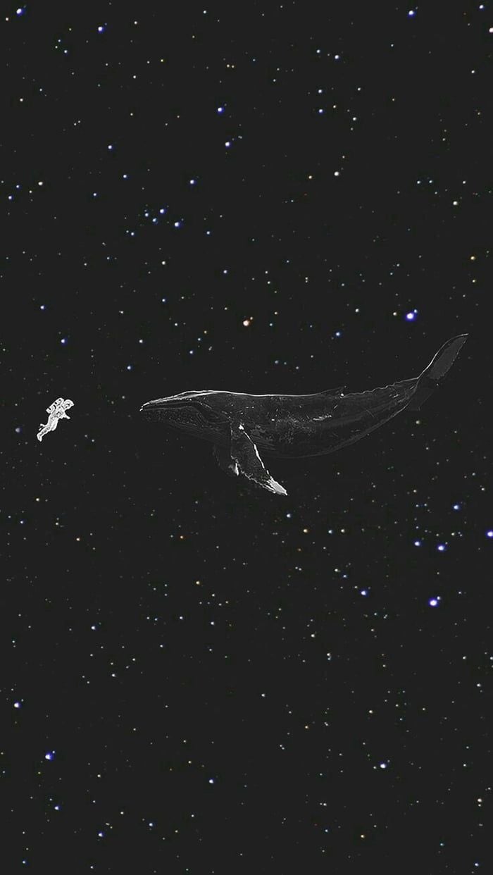 How did that whale get up there ?. Space phone wallpaper, Black wallpaper iphone, Wallpaper space
