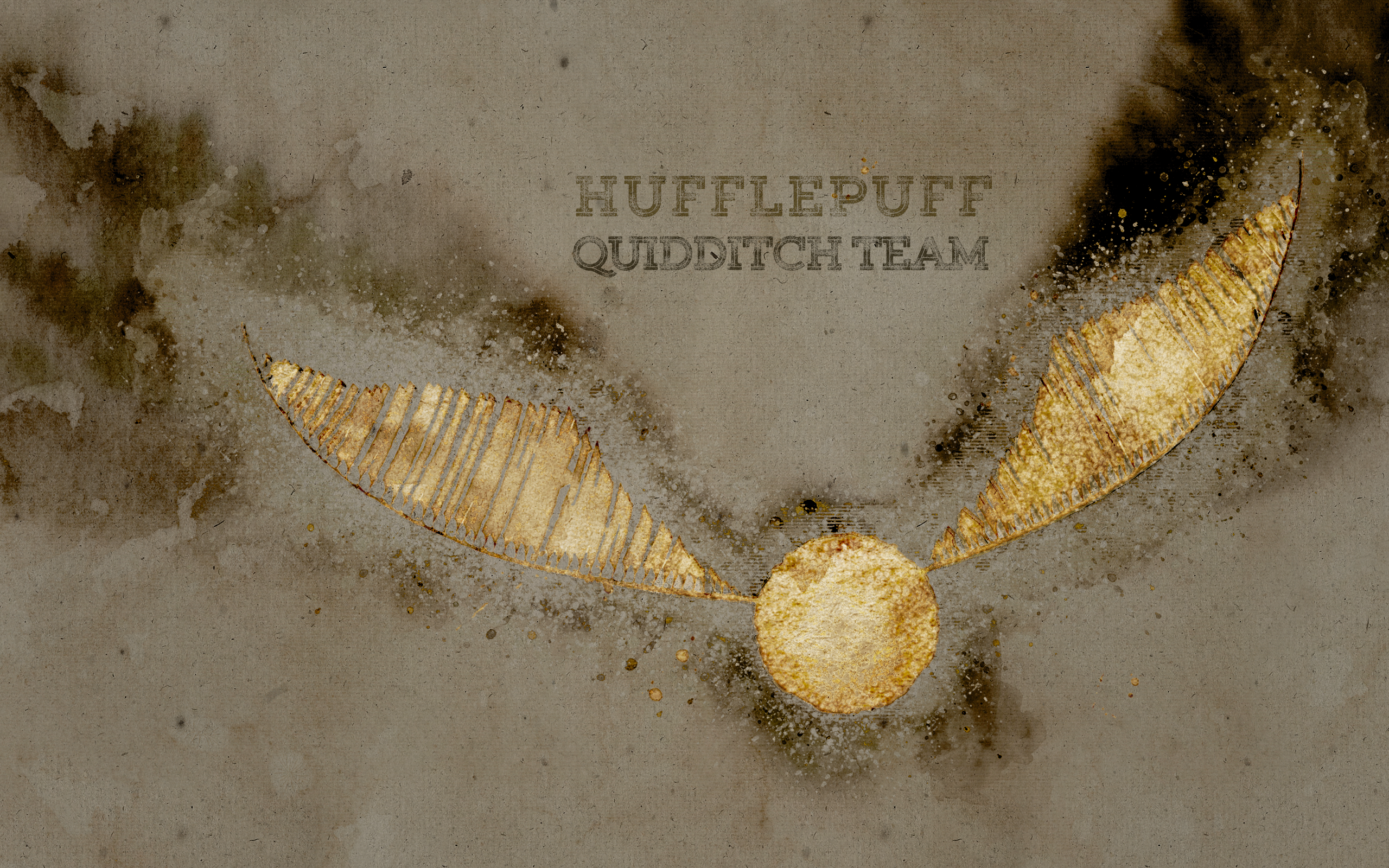 Hufflepuff Quidditch Team Potter World. Slytherin, Slytherin wallpaper, Harry potter wedding theme