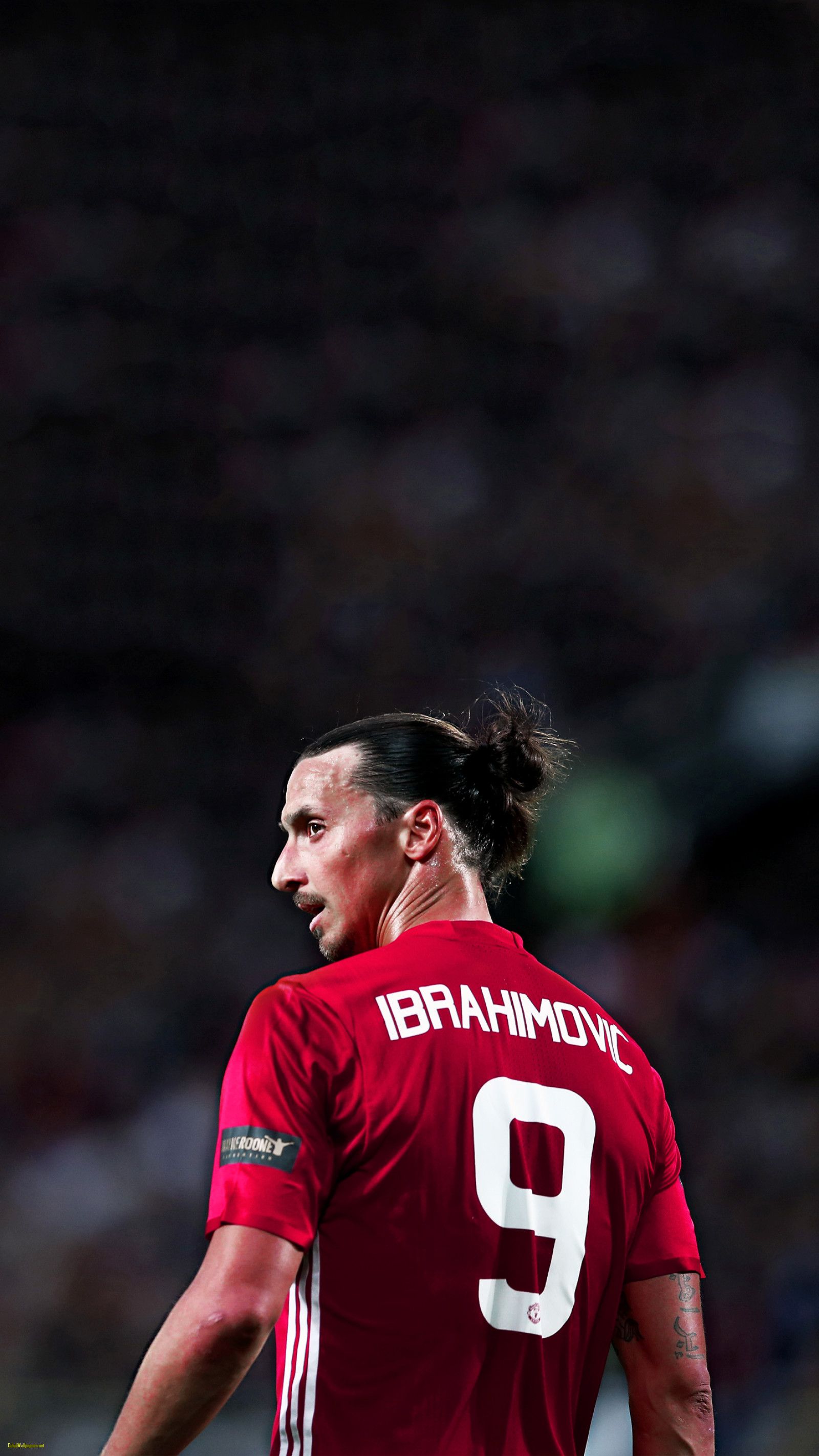 Ibrahimovic manchester united HD wallpapers | Pxfuel