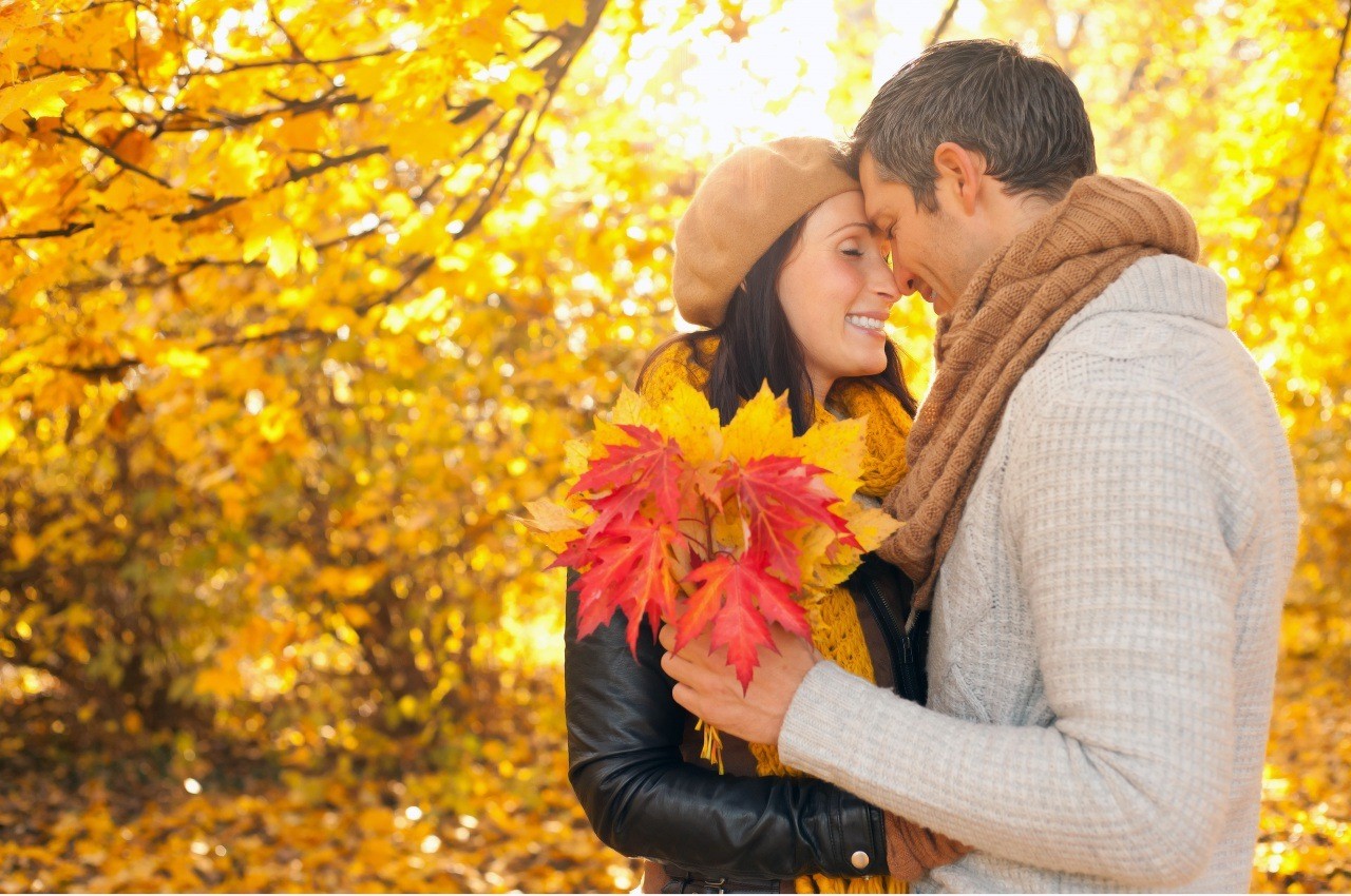 Couple Sleep On Garden HD Wallpaper & Background Download