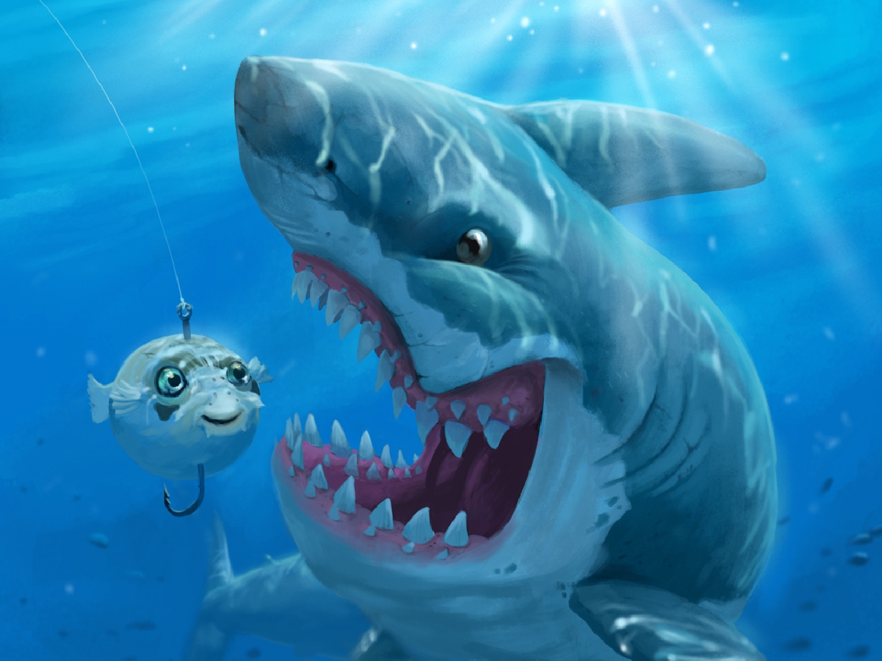 Download Animal Shark Image