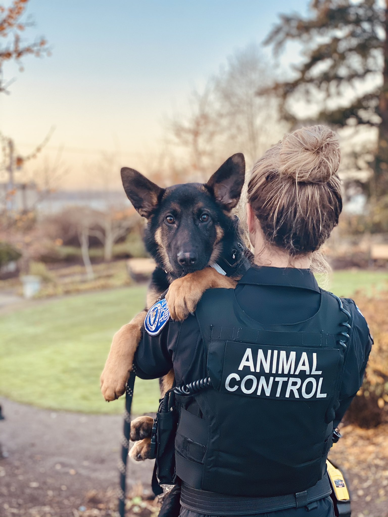 Kirkland Police You An Outgoing, Customer Service Oriented Individual That Cares About The Safety And Welfare Of Animals? We're Looking To Hire An Animal Control Officer! Apply Here