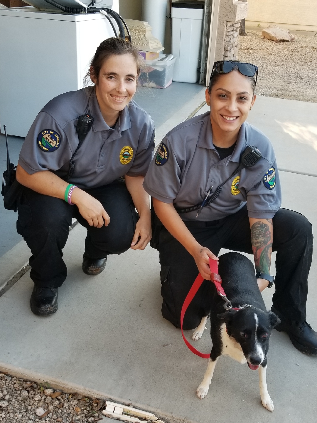 Animal Control Officer Wallpapers Wallpaper Cave