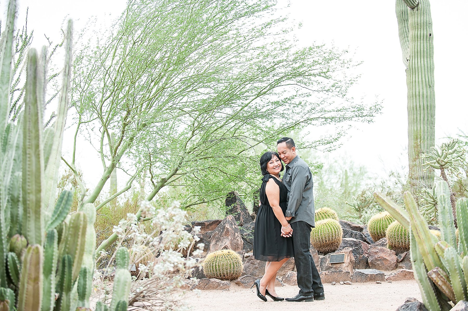 Phoenix Desert Botanical Garden Engagement Photographer