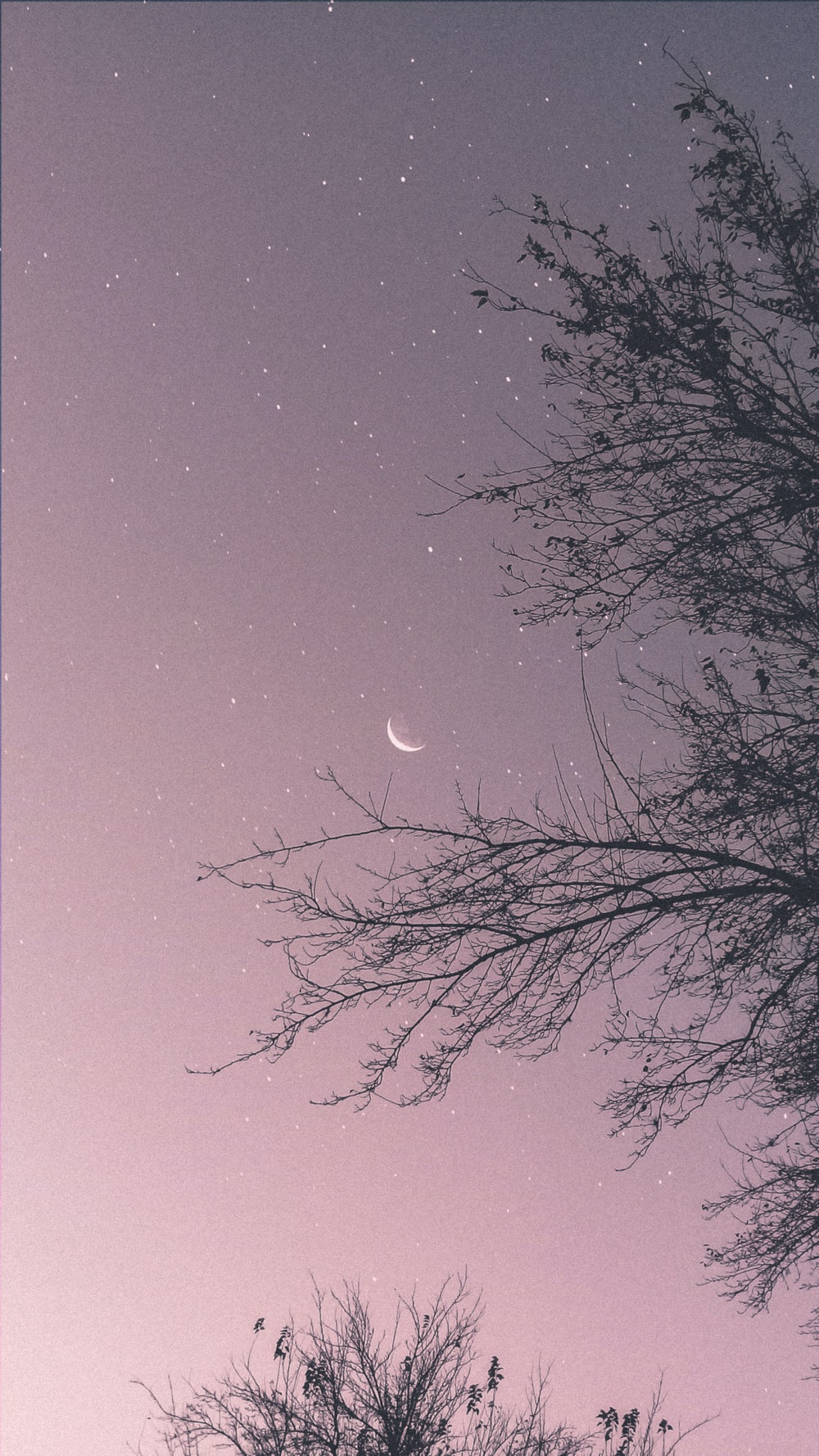 30,Moon And Stars Picture. Download Free Image