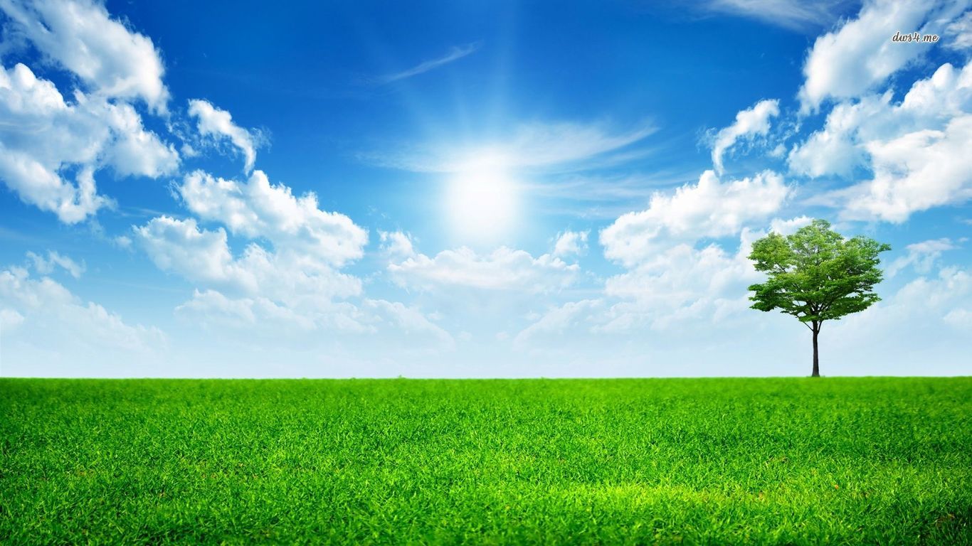 Free download Bright sunny day wallpaper Digital Art wallpaper 47614 [1366x768] for your Desktop, Mobile & Tablet. Explore Bright Sunny Day Wallpaper. Sunny Day Wallpaper Desktop, Sunny Day Wallpaper