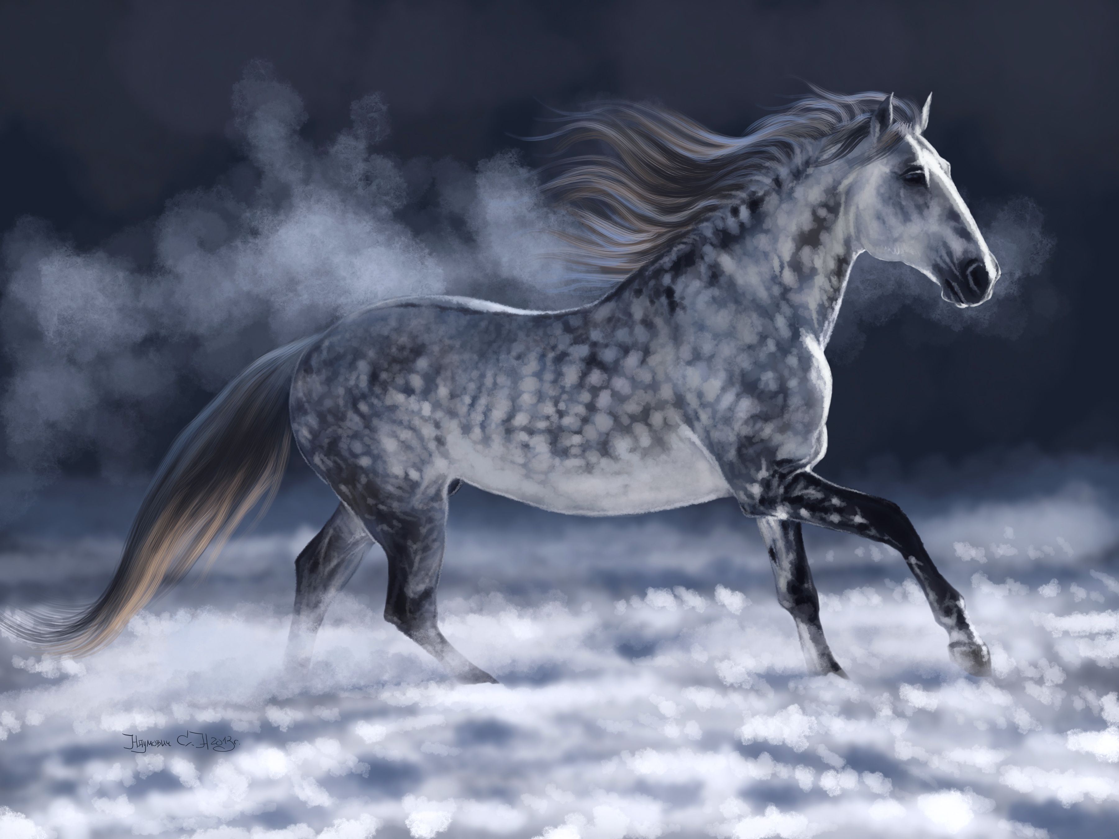 Gorgeous Dapple grey horse with awesome spots running in the clouds. Dapple grey horses, Grey horse, Beautiful horses