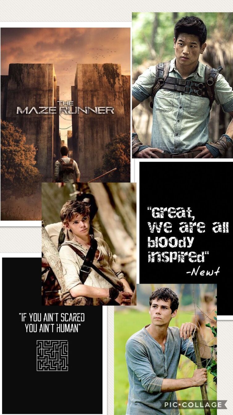 Maze Runner Wallpaper