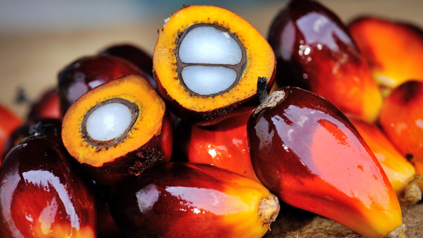 The Last Holdout Among Big Palm Oil Businesses Joins No Deforestation Pledge