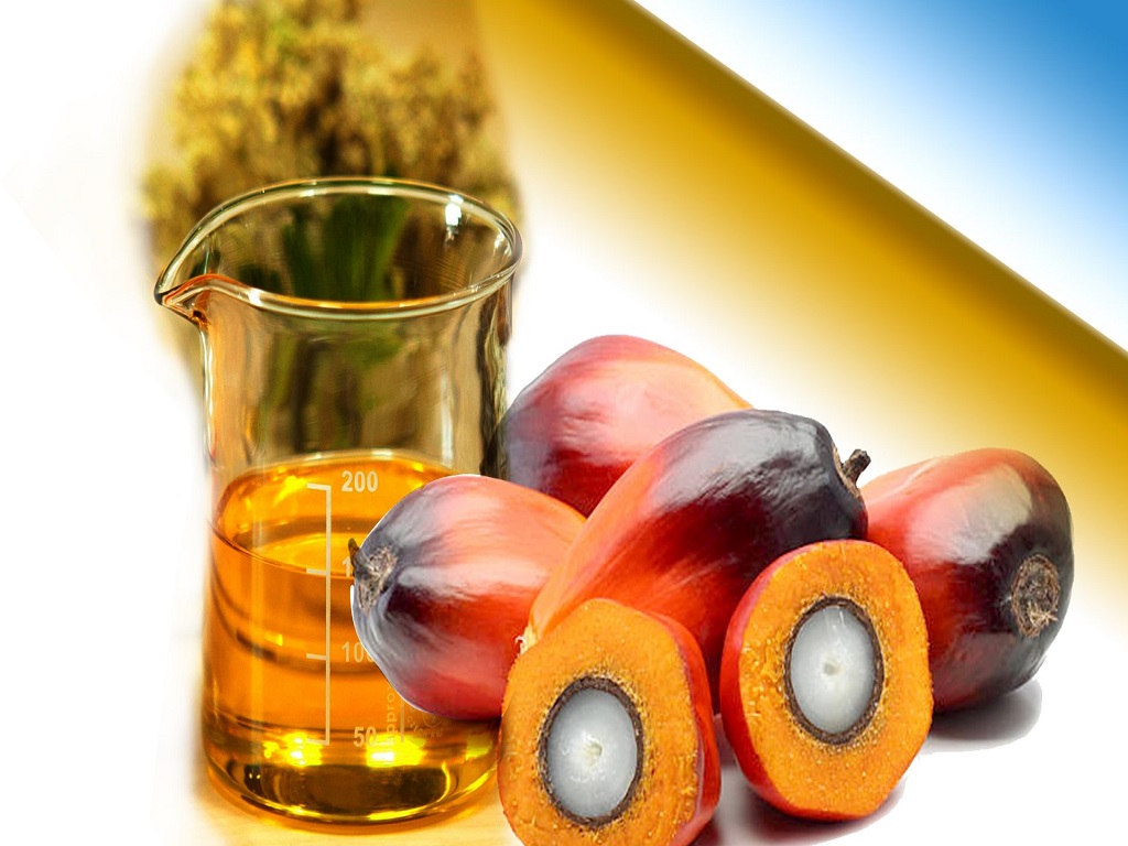 Government Approves Palm Oil Scheme For Five Years