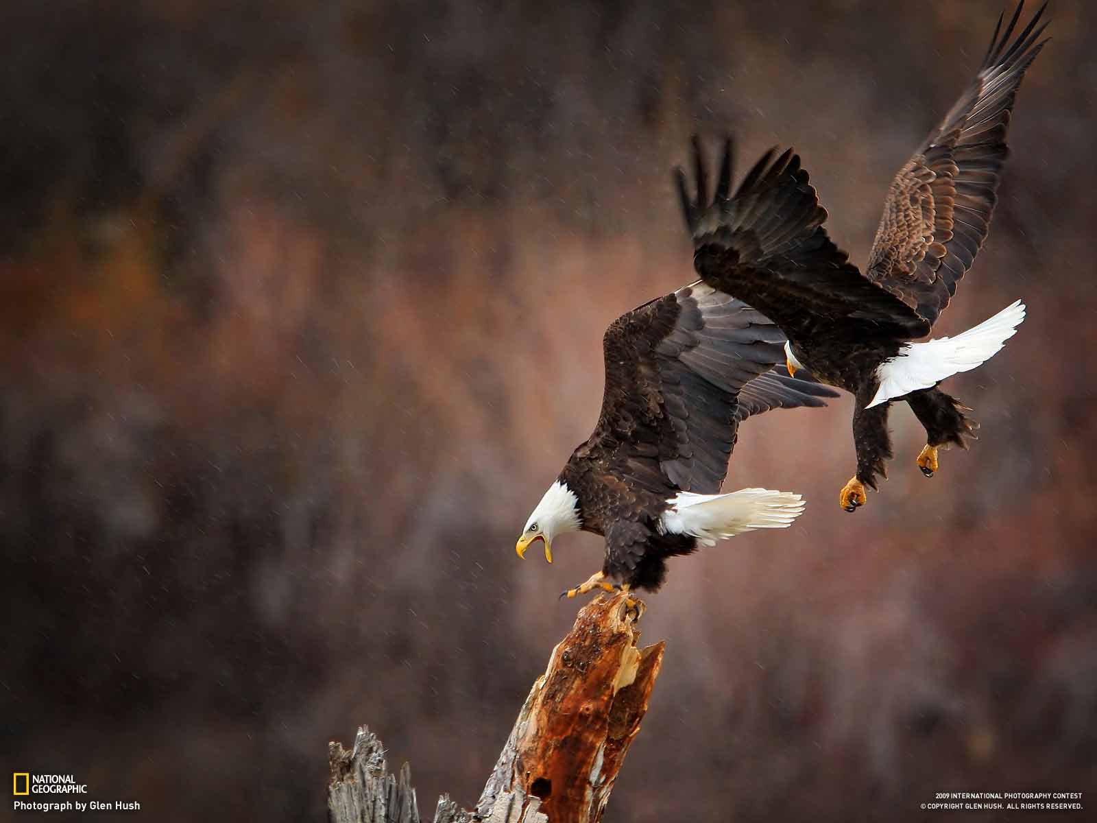 National Geographic 9 (40 wallpaper) Desktop wallpaper, beautiful picture. Daily update