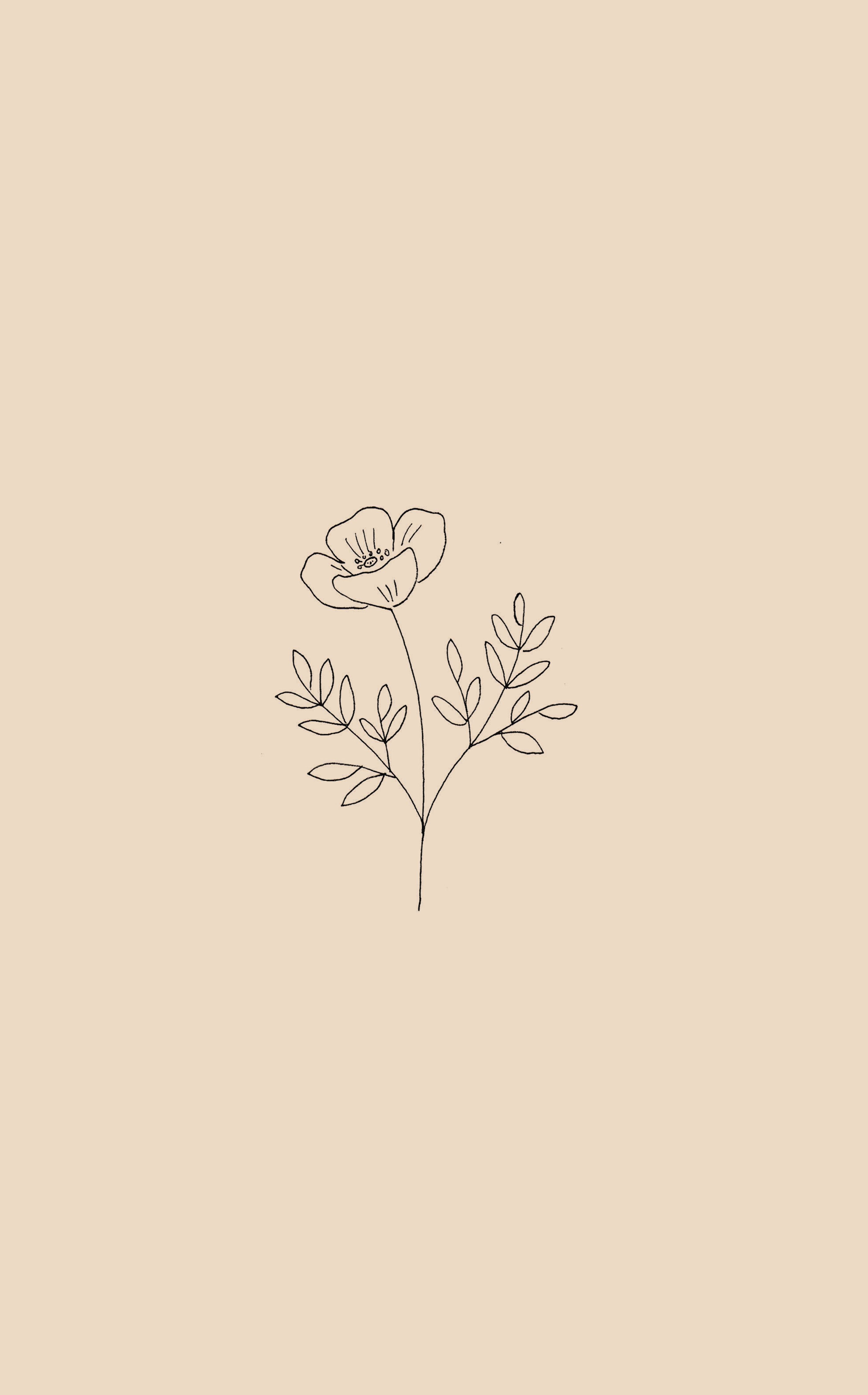 Flower drawing. Cute flower wallpaper, iPhone wallpaper stills, Minimalist wallpaper