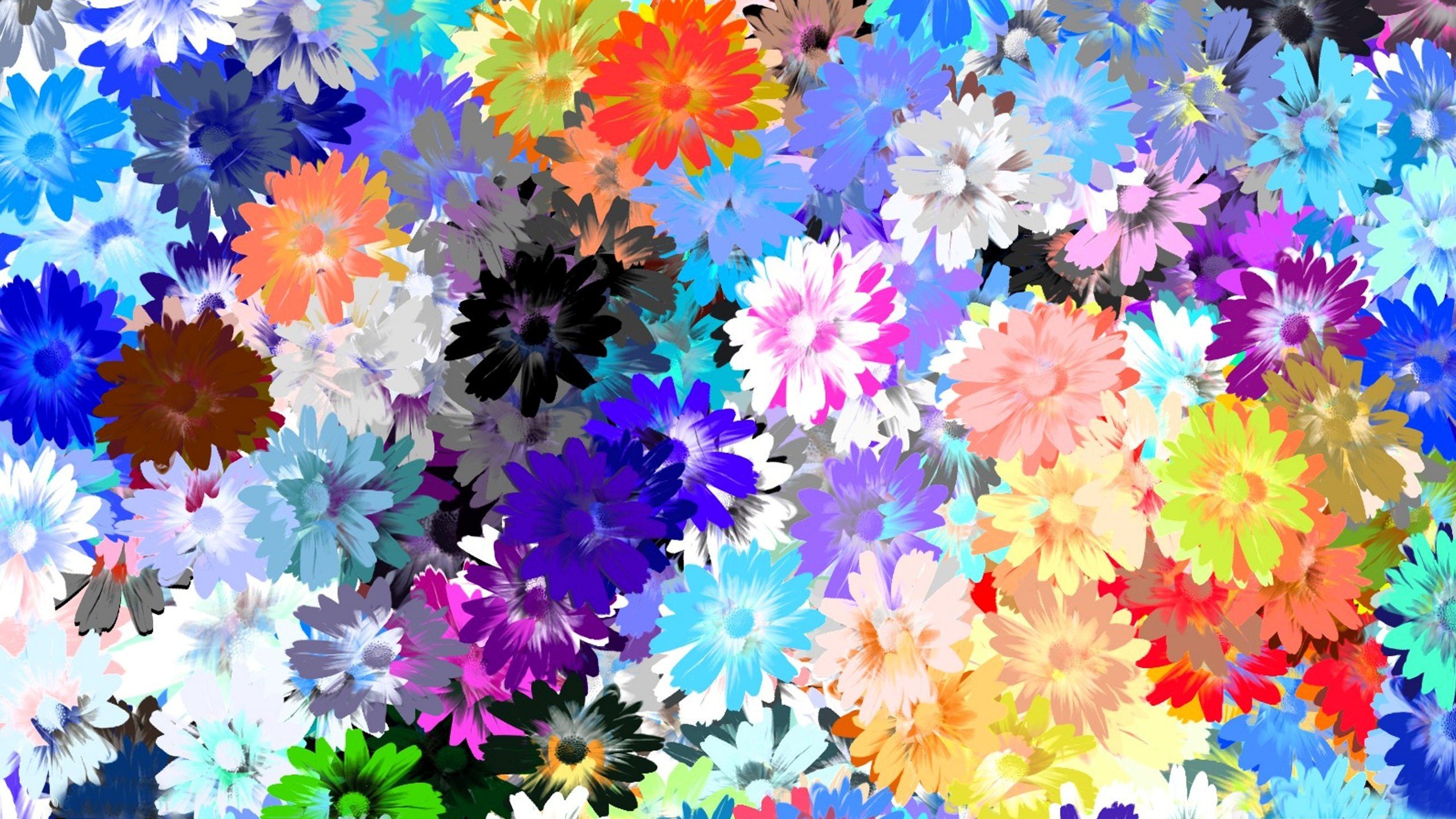 Flower Drawing Wallpaper HD