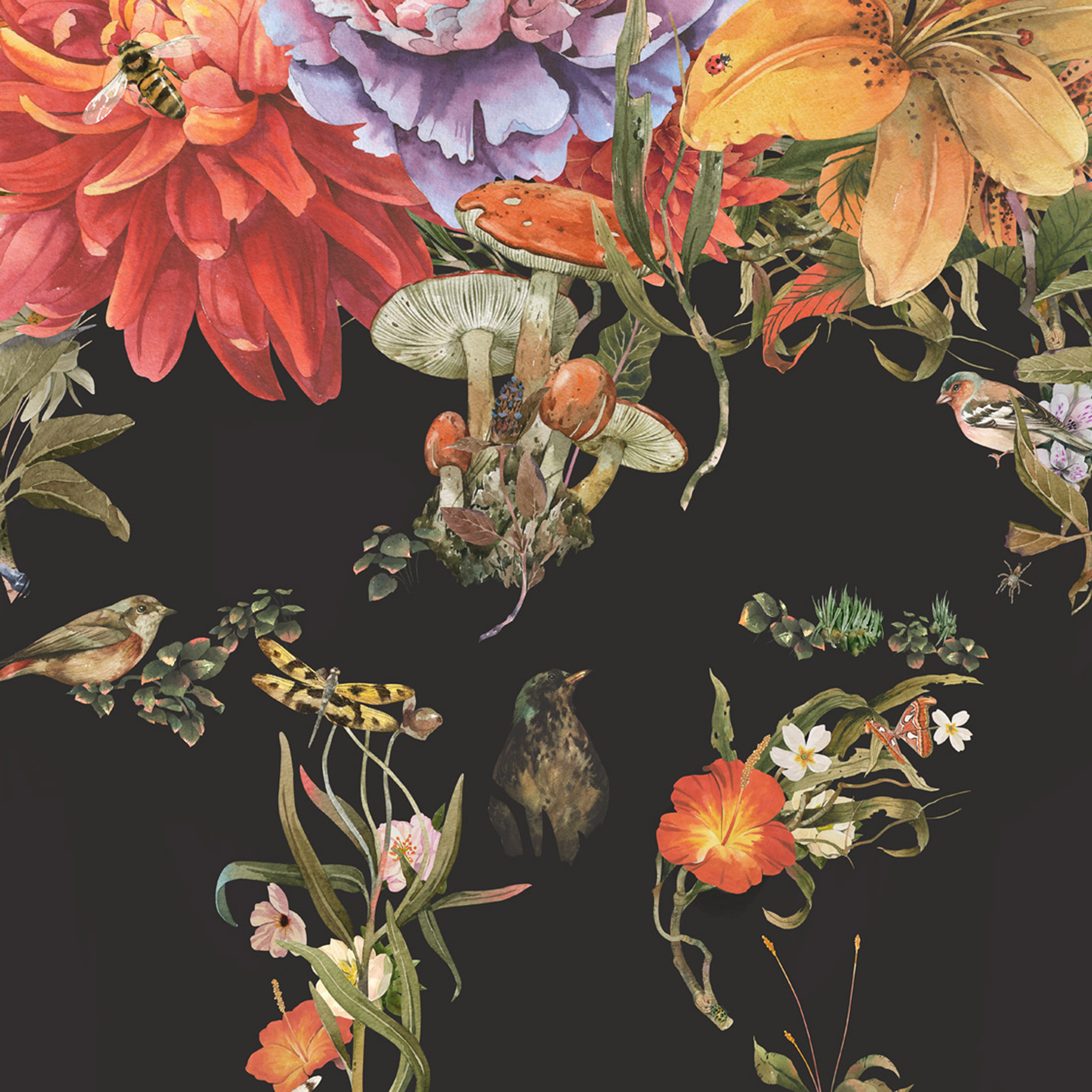 Flower Drawing Illust Paint Art Wallpaper