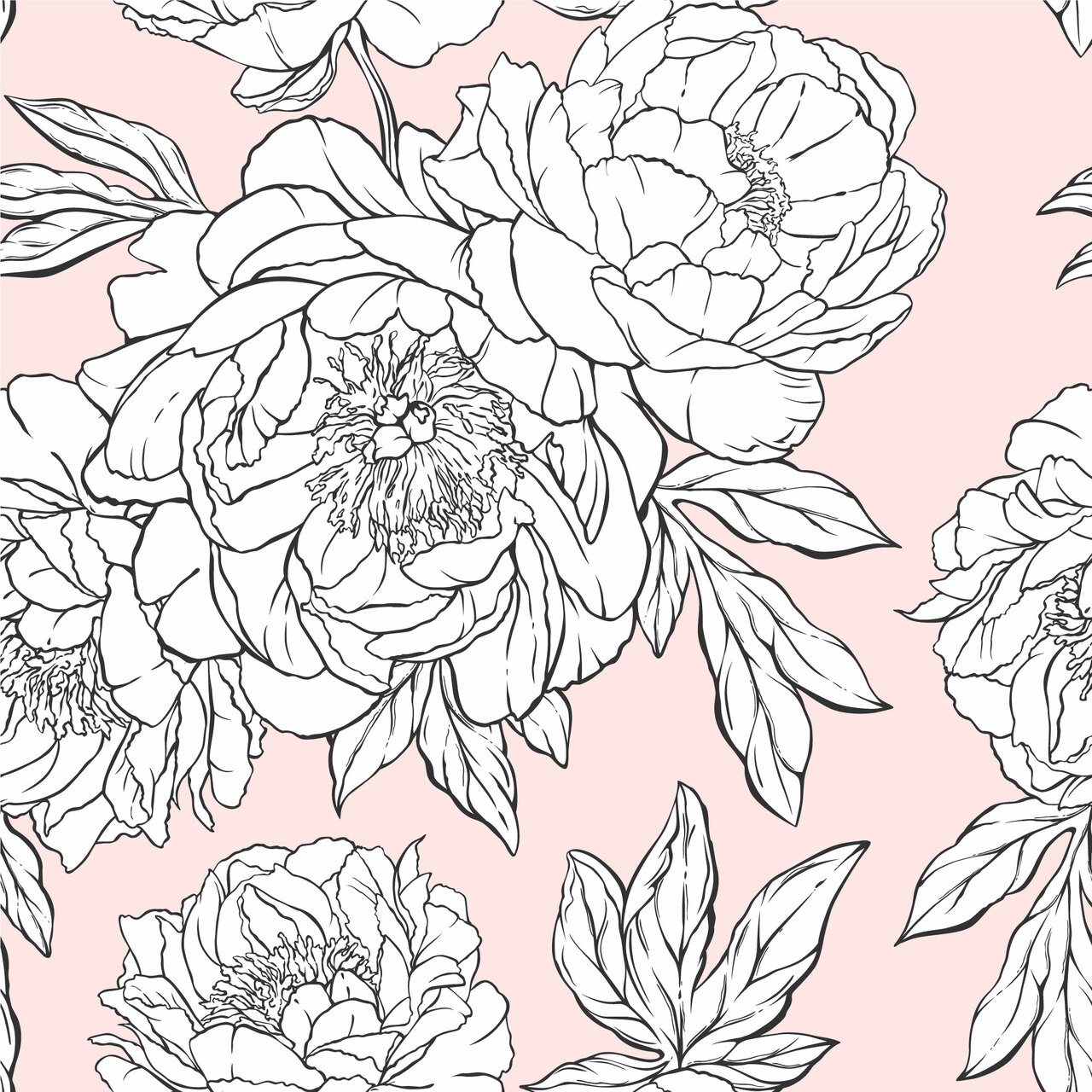 Hand Drawn Flowers Peel and Stick Wallpaper