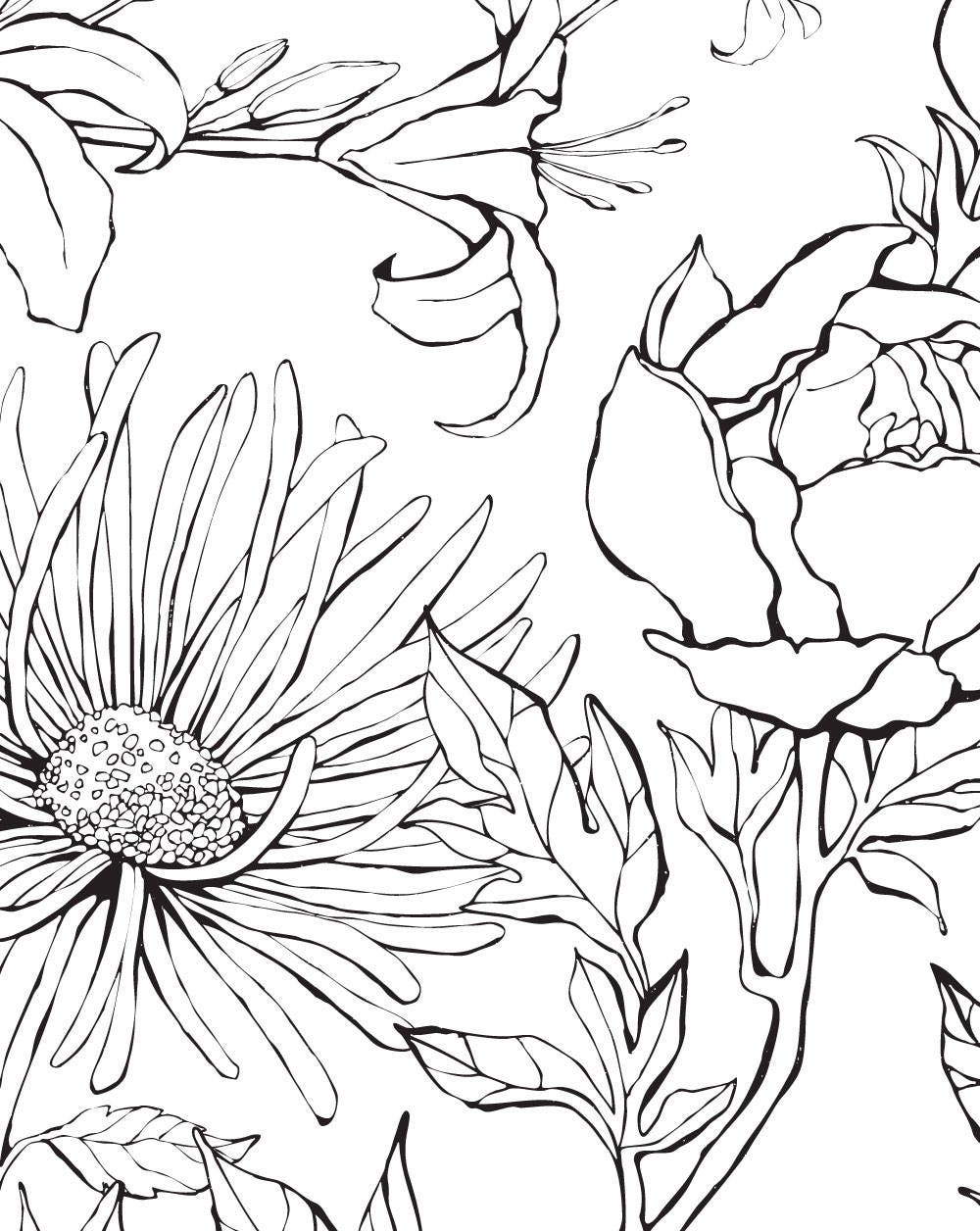 Botanical Garden Hand Drawn Flowers Accent Mural Wallpaper