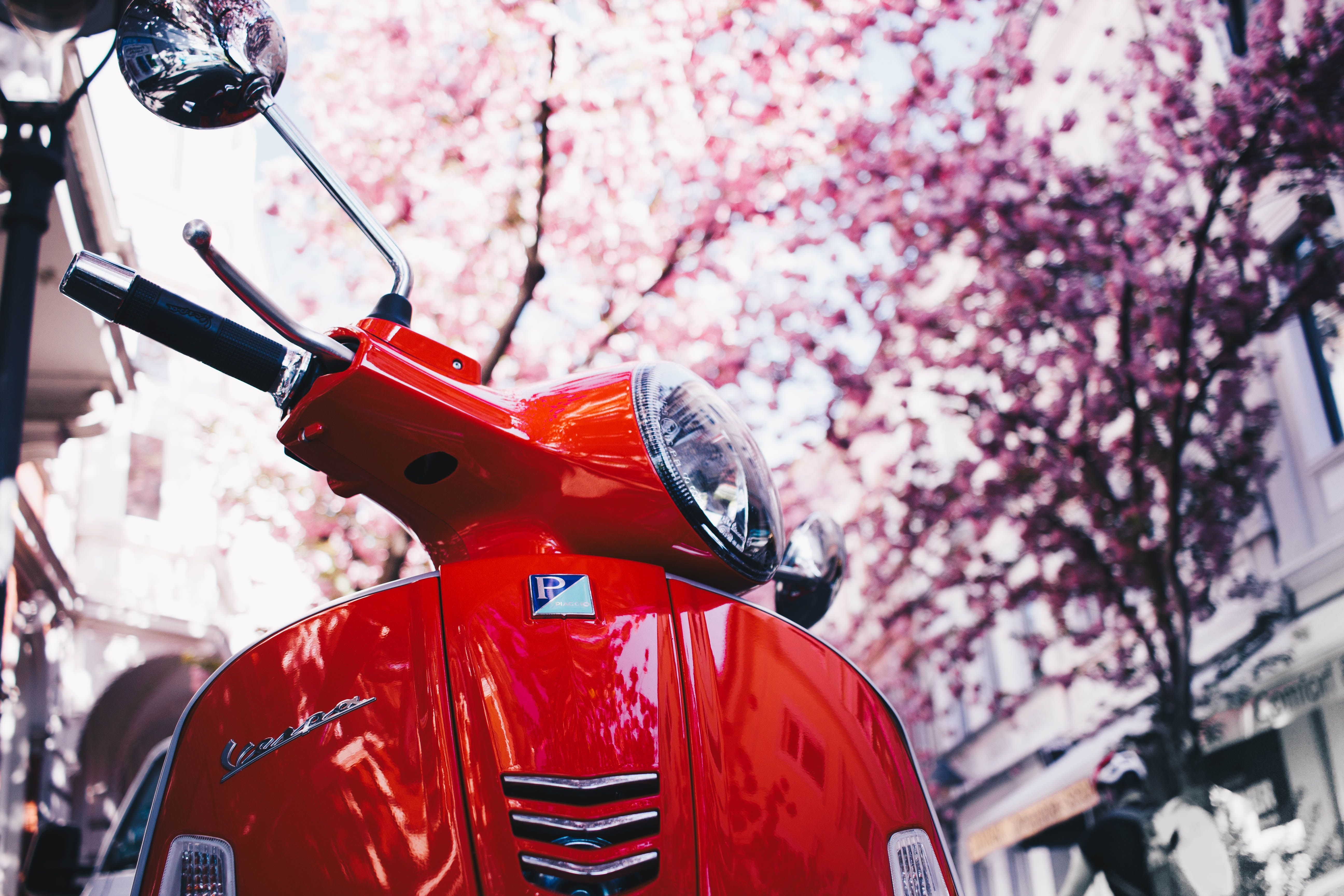 Wallpaper vespa, scooter, red, sakura. Vespa, Etsy wall art, Red vespa
