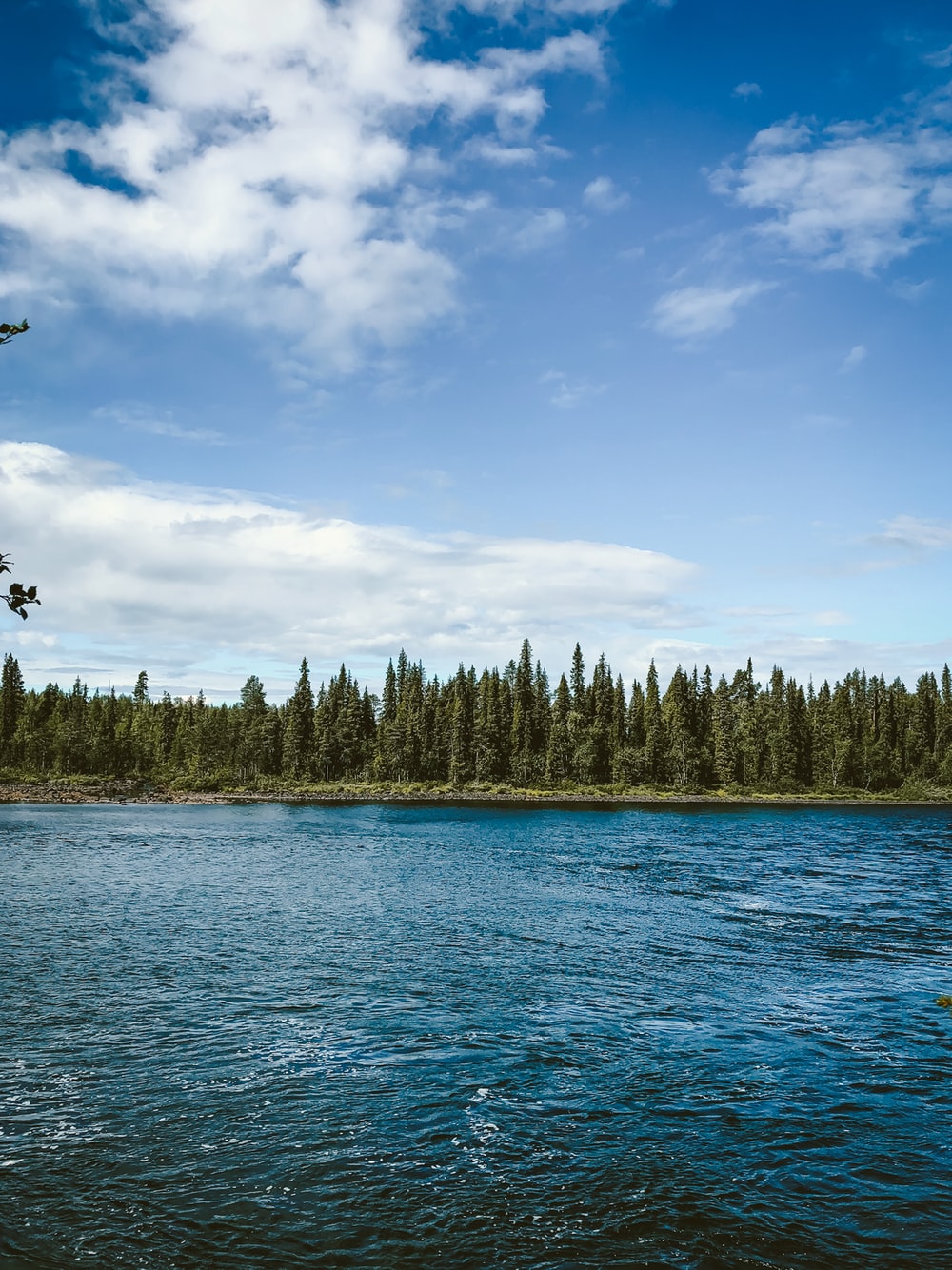 Blue River Picture. Download Free Image