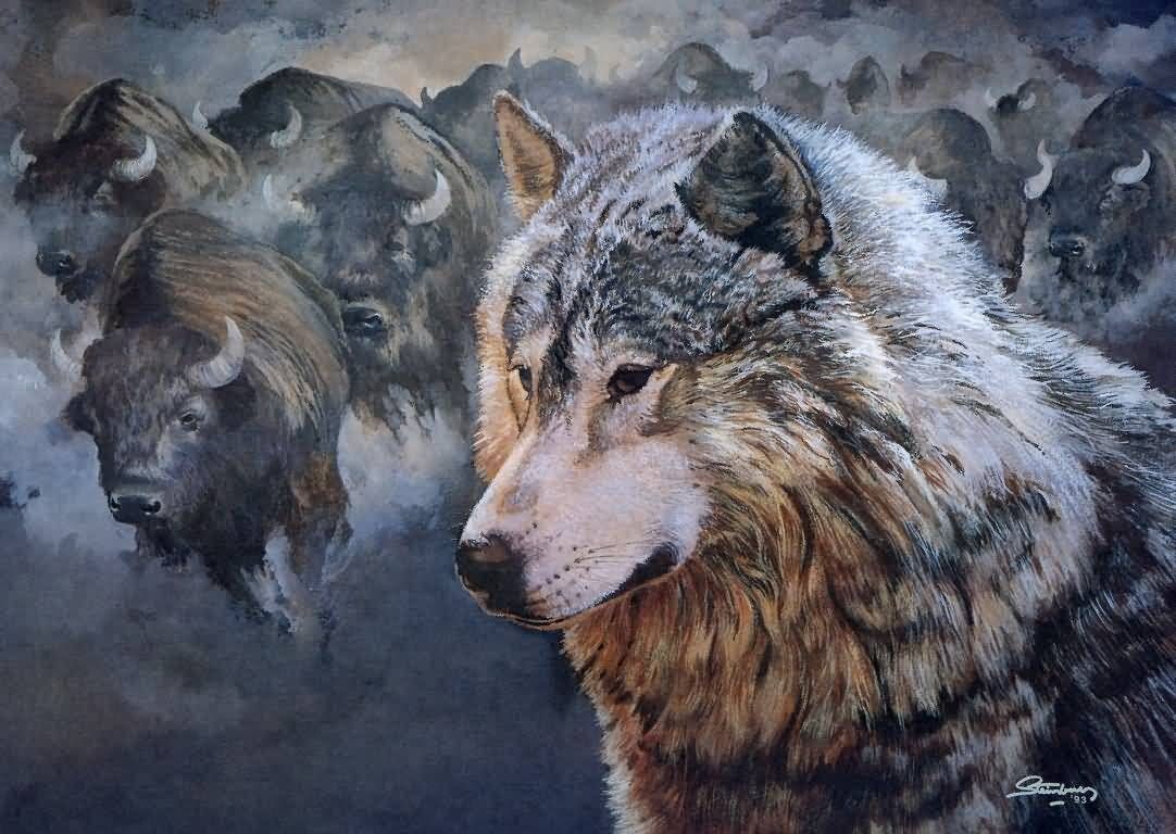 native american wolf art wallpaper