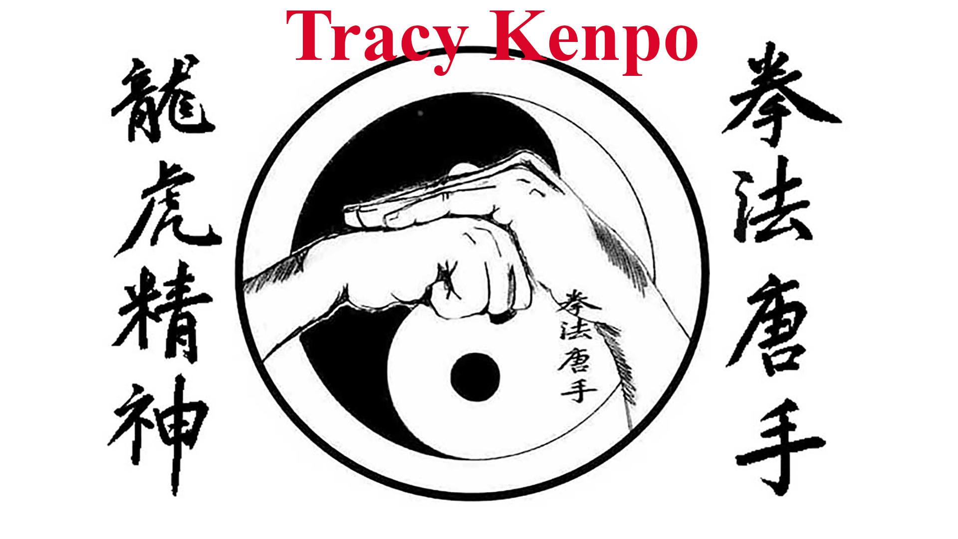 Watch Tracy Kenpo Orange Belt