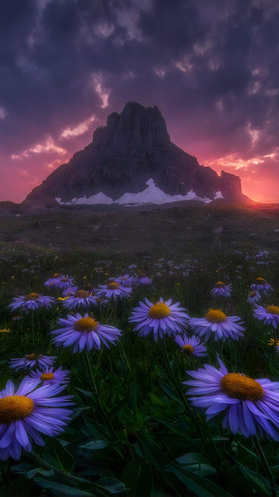 mountain iphone wallpaper, sky, nature, natural landscape, purple, flower, wildflower, plant, cloud, meadow, spring