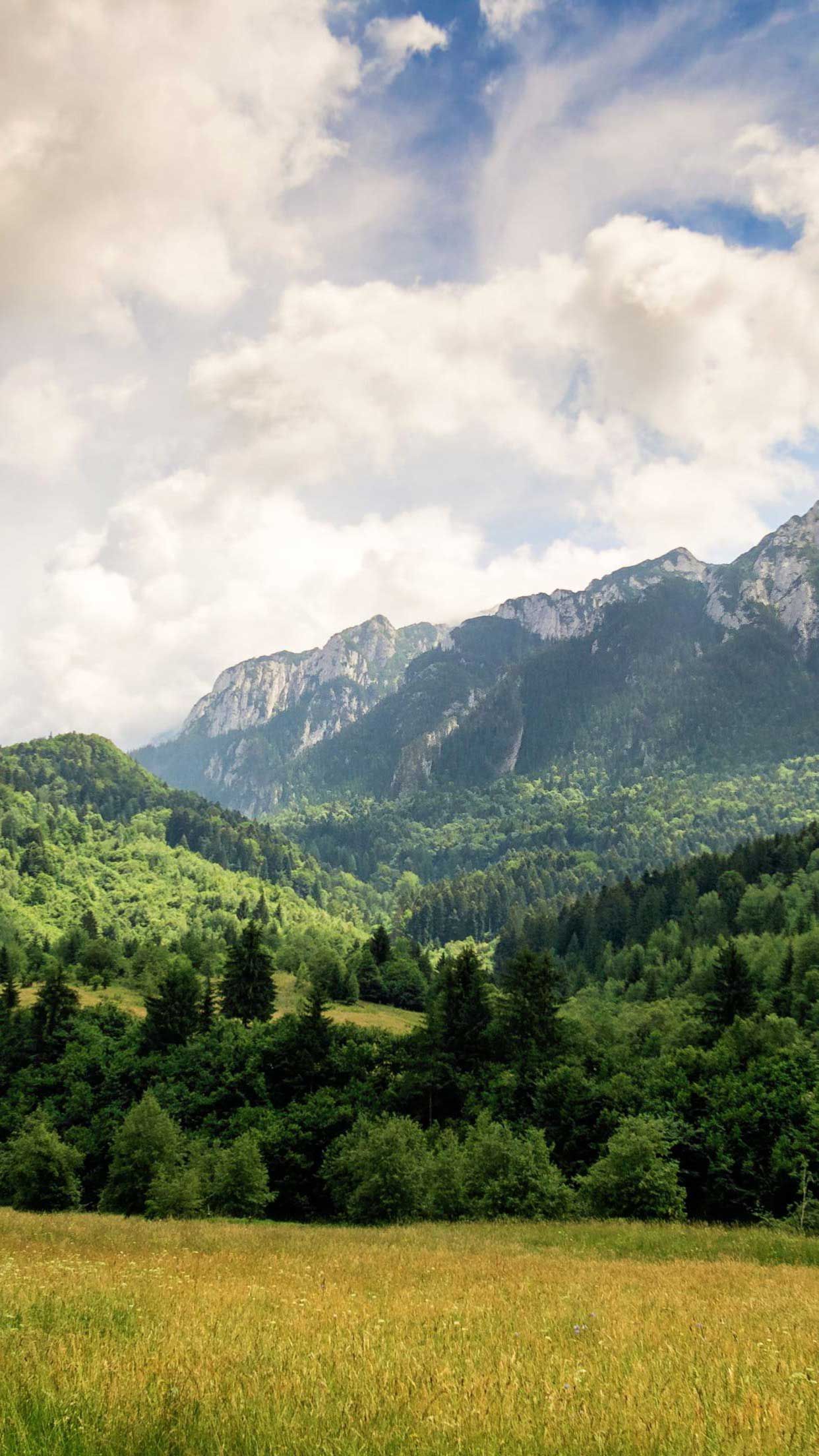 Mountain Stream iPhone Wallpaper