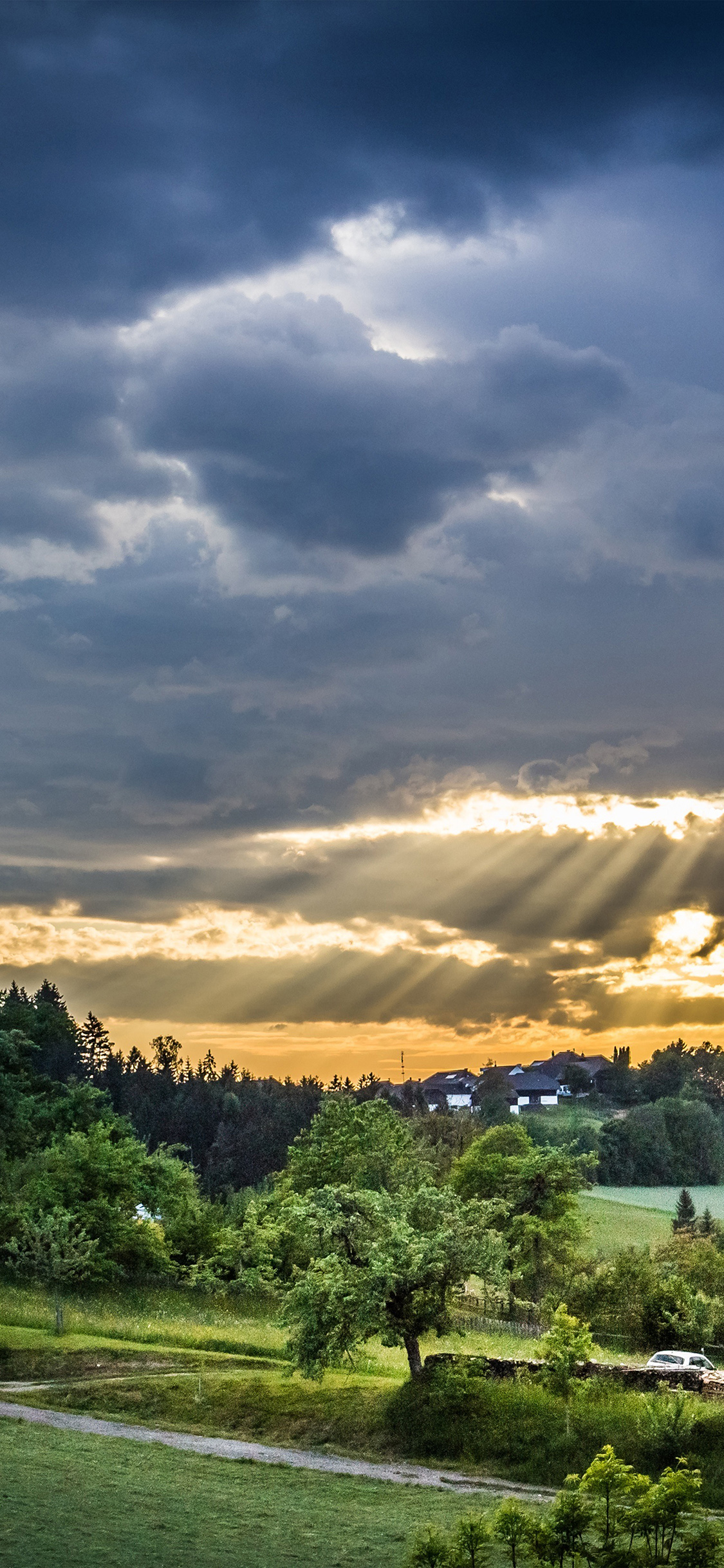 Forest Sunset Summer Mountain Nature Wallpaper