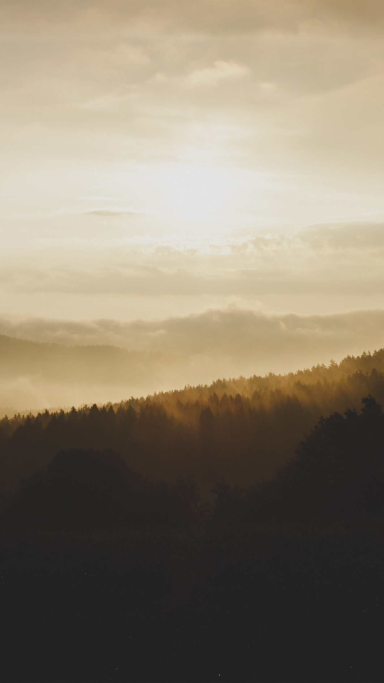 Nature Mountain Sunset Yellow Android Wallpaper